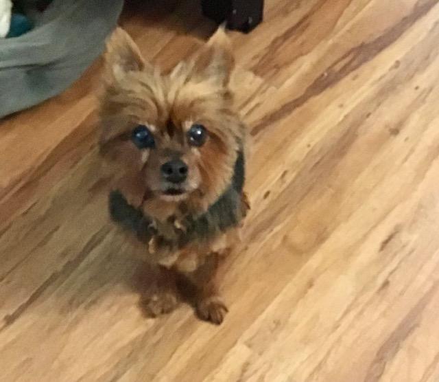 Max