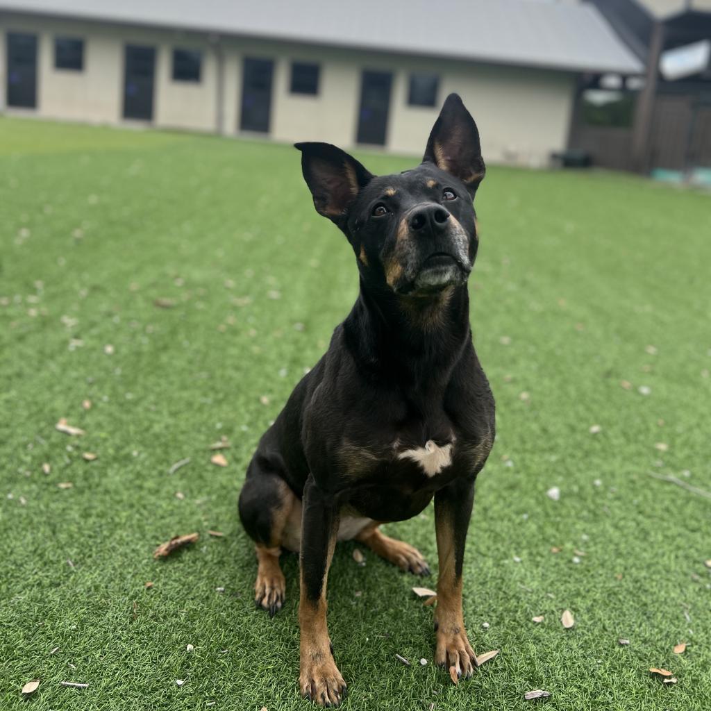 Skye — thumbnail 3