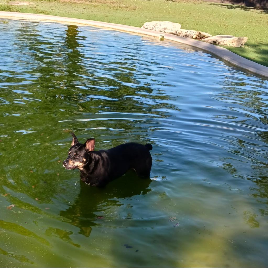 Skye — thumbnail 4