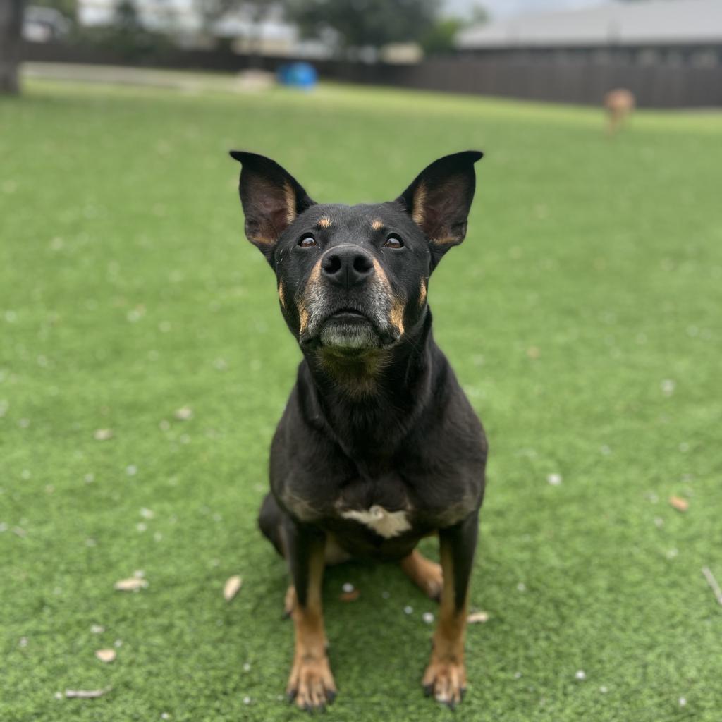 Skye — thumbnail 5