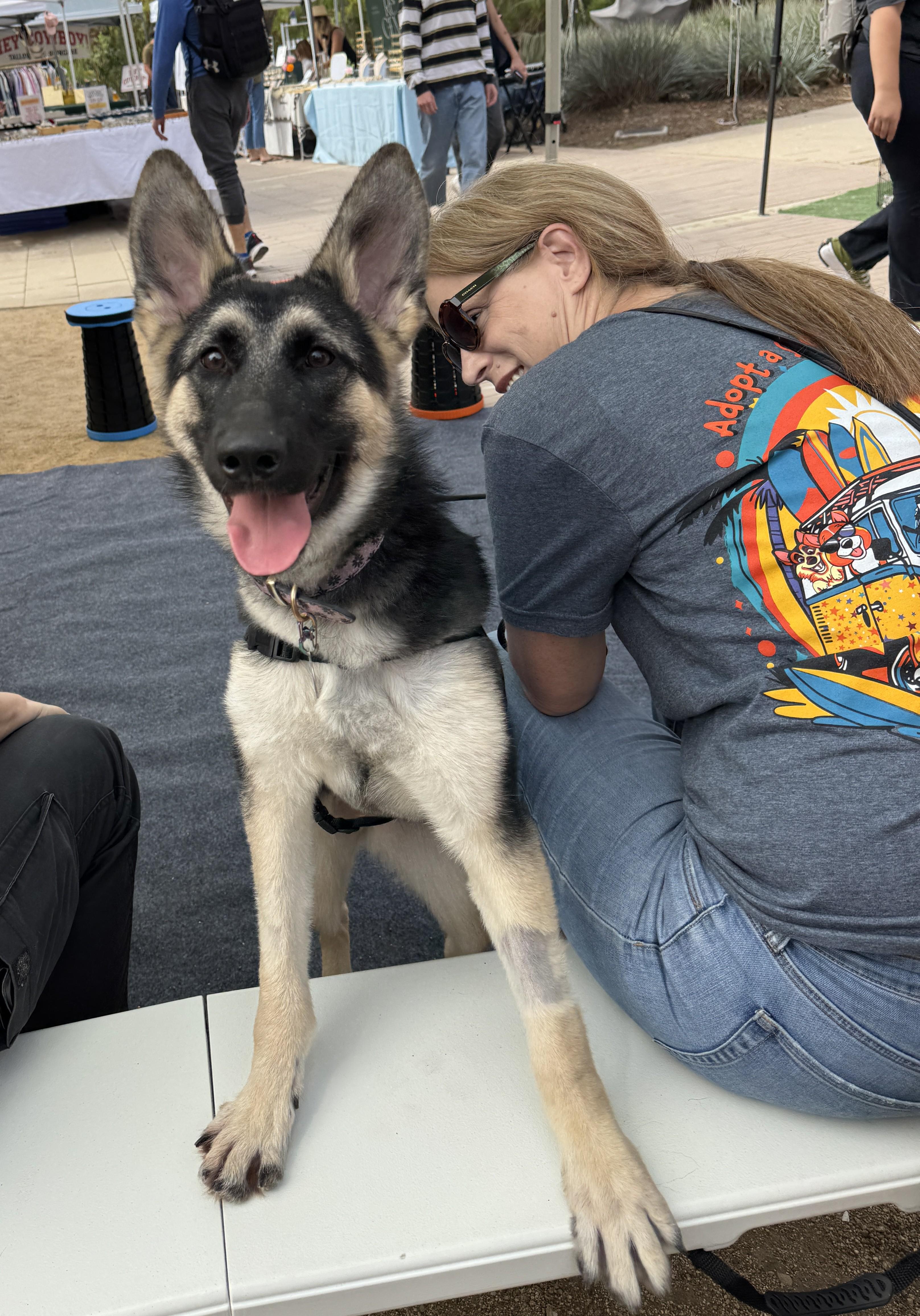 Petunia, Adopted, Young Female German Shepherd Dog.