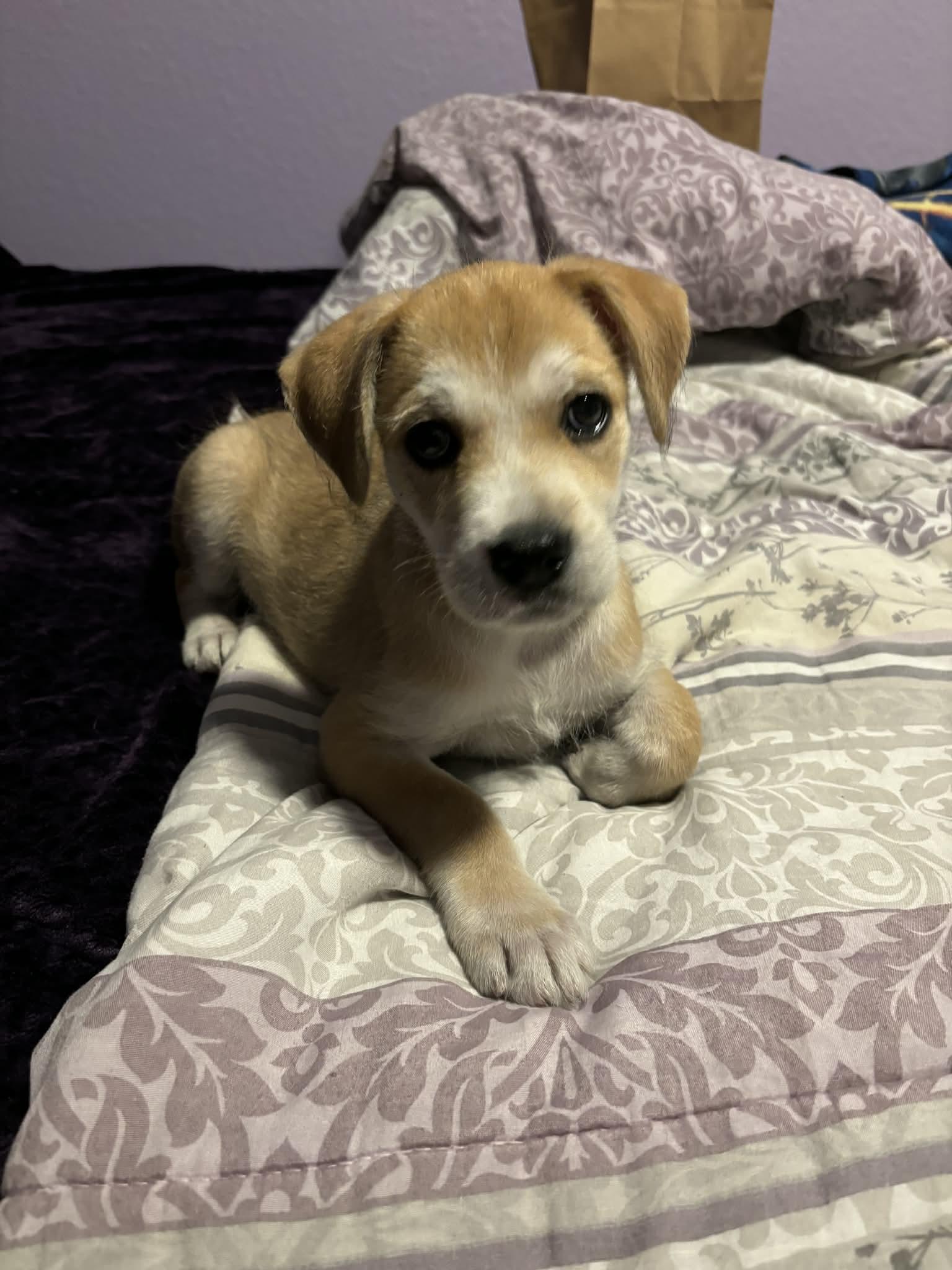 Sam RW — thumbnail 2