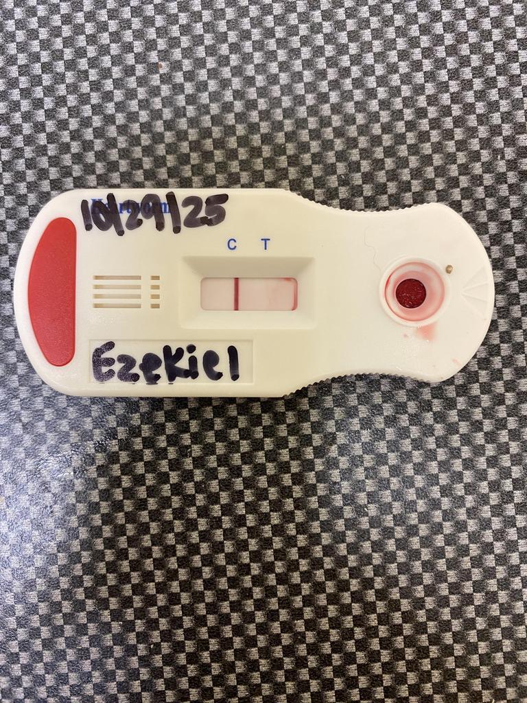 Enlarge EZEKIEL, a Adoptable mixed breed in Florence, SC image 2/6