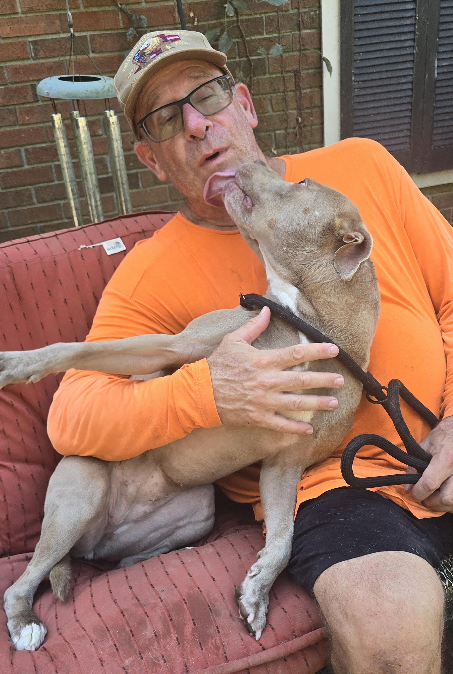 Enlarge Tribeca, a Adoptable mixed breed in Arlington, TN image 6/6
