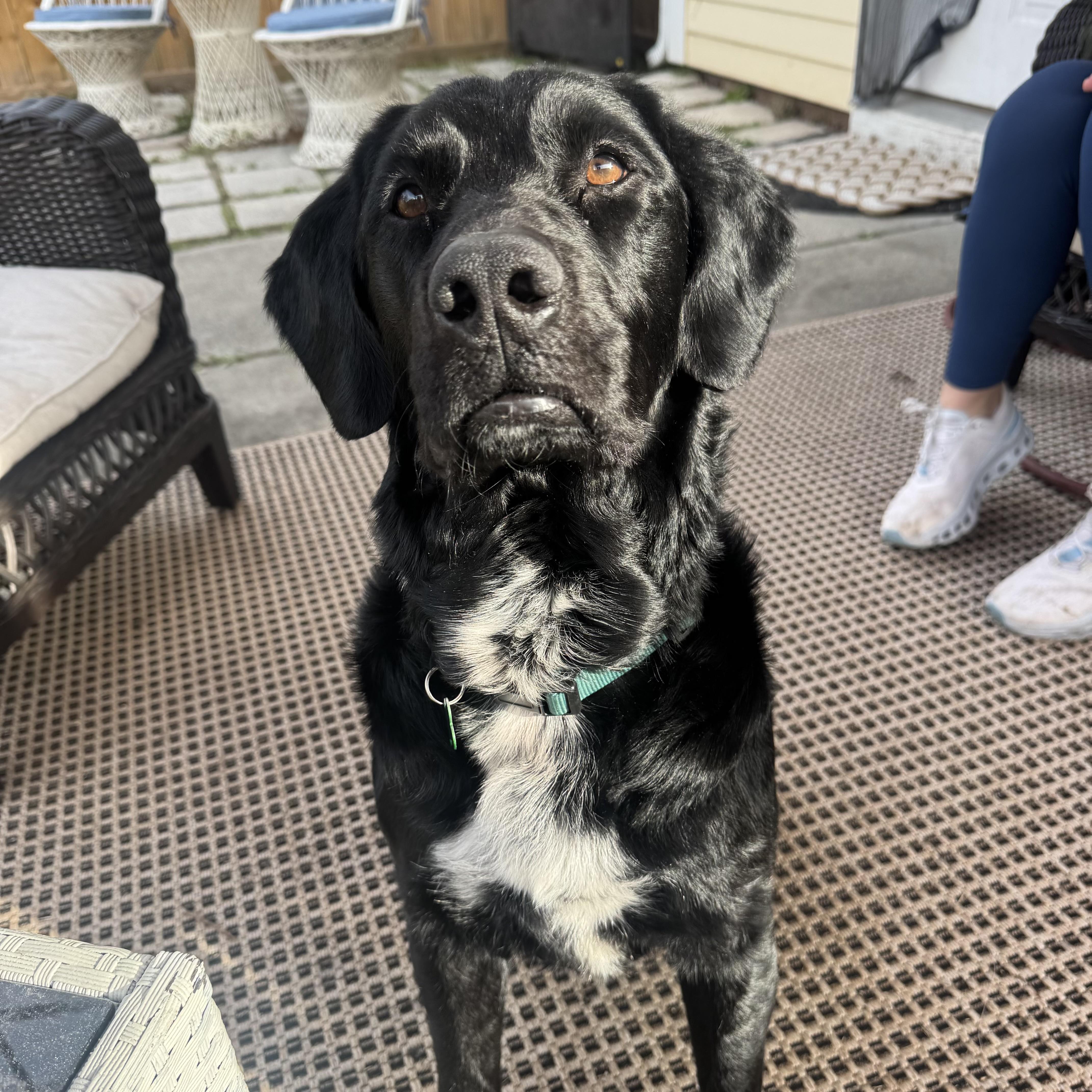 Sledder — thumbnail 2