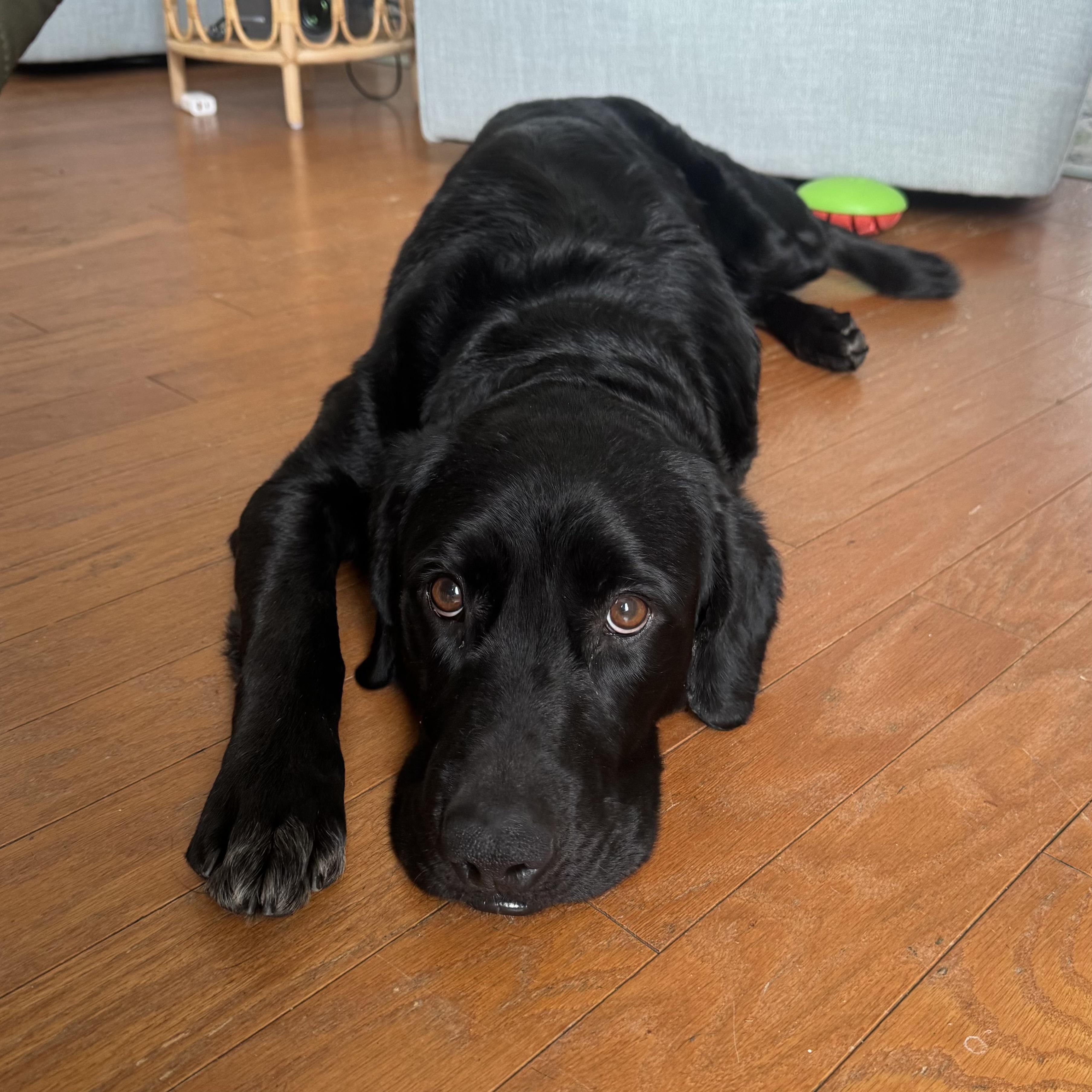 Sledder — thumbnail 6