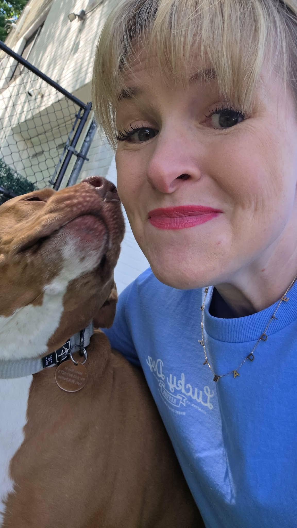 Bahama Mama & Julep, a ADOPTABLE mixed breed in Stamford, CT image 5/5