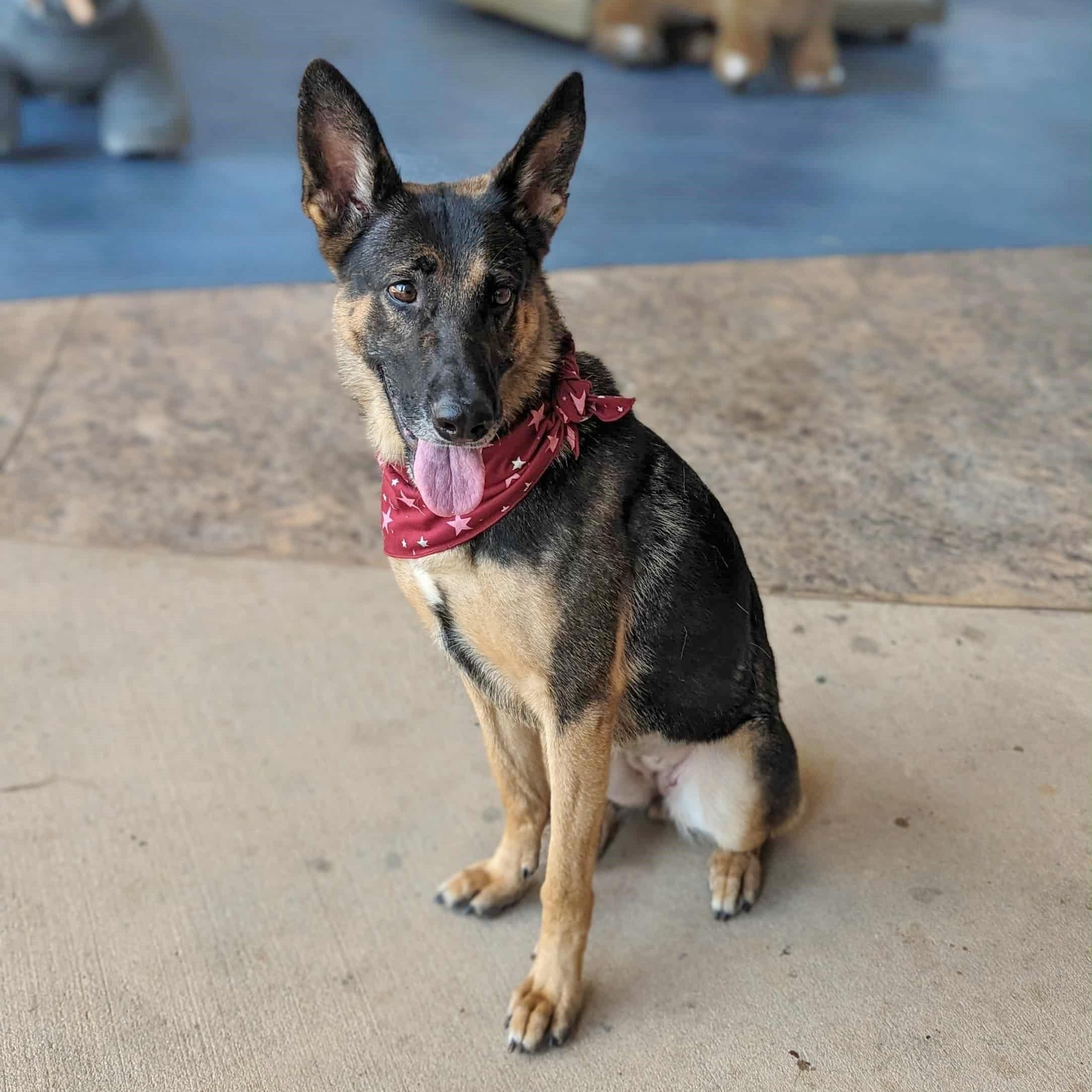 Skye