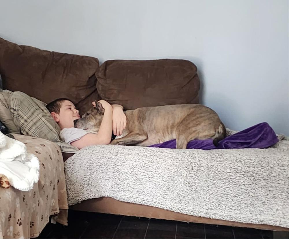 Luca (2024), a Adoptable mixed breed in Wenonah, NJ image 5/6