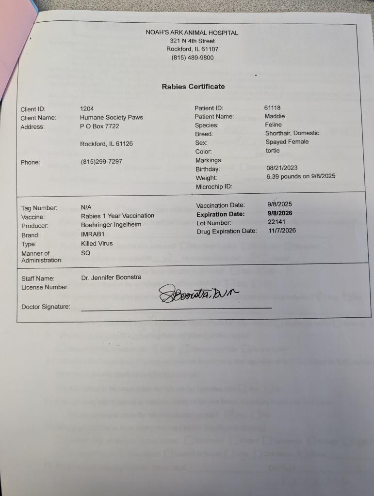 Enlarge Karma, a Adopted mixed breed in Rockford, IL image 1/4