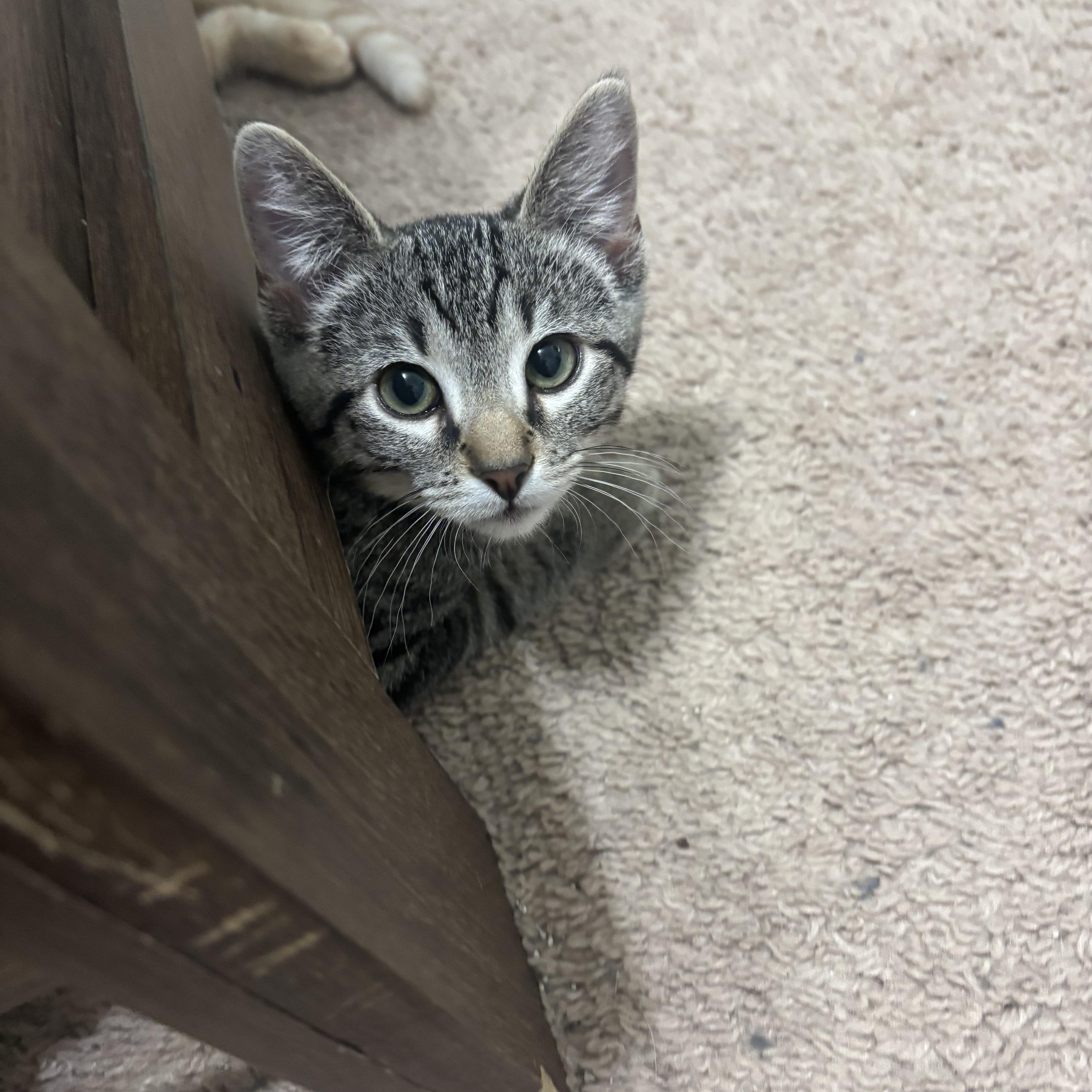 Murphy (in Lubbock TX)
