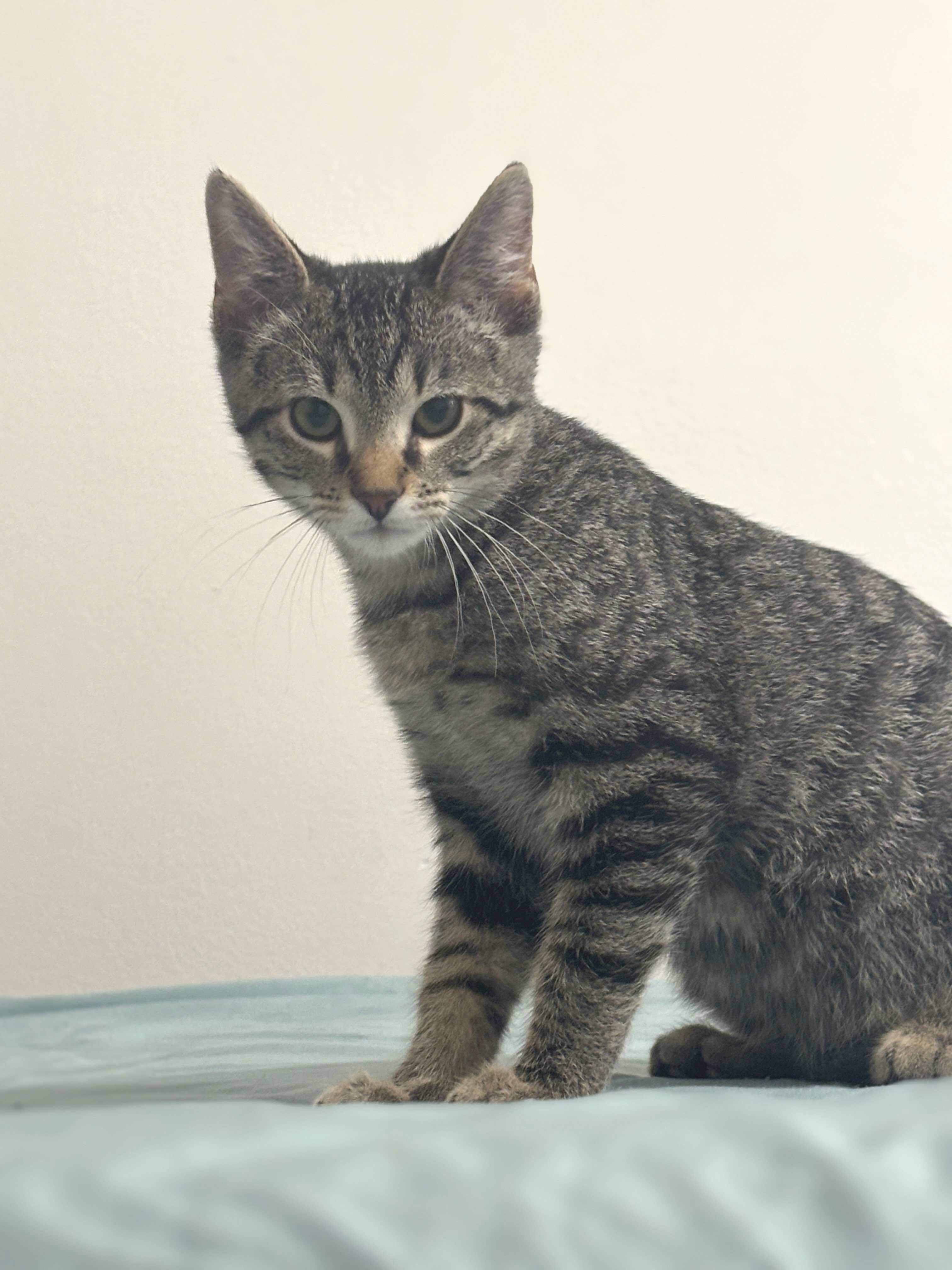 Murphy (in Lubbock TX)