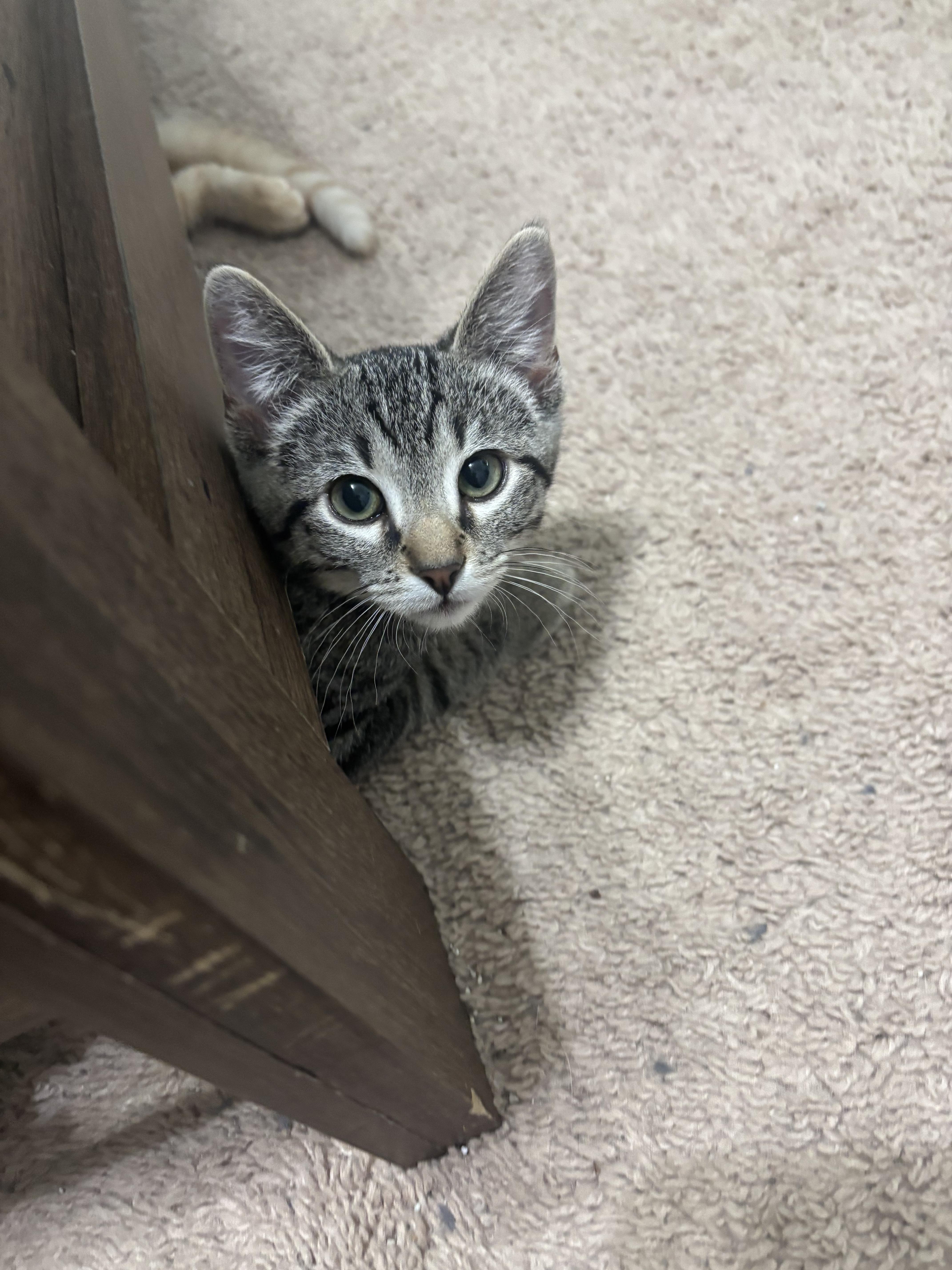 Murphy (in Lubbock TX)