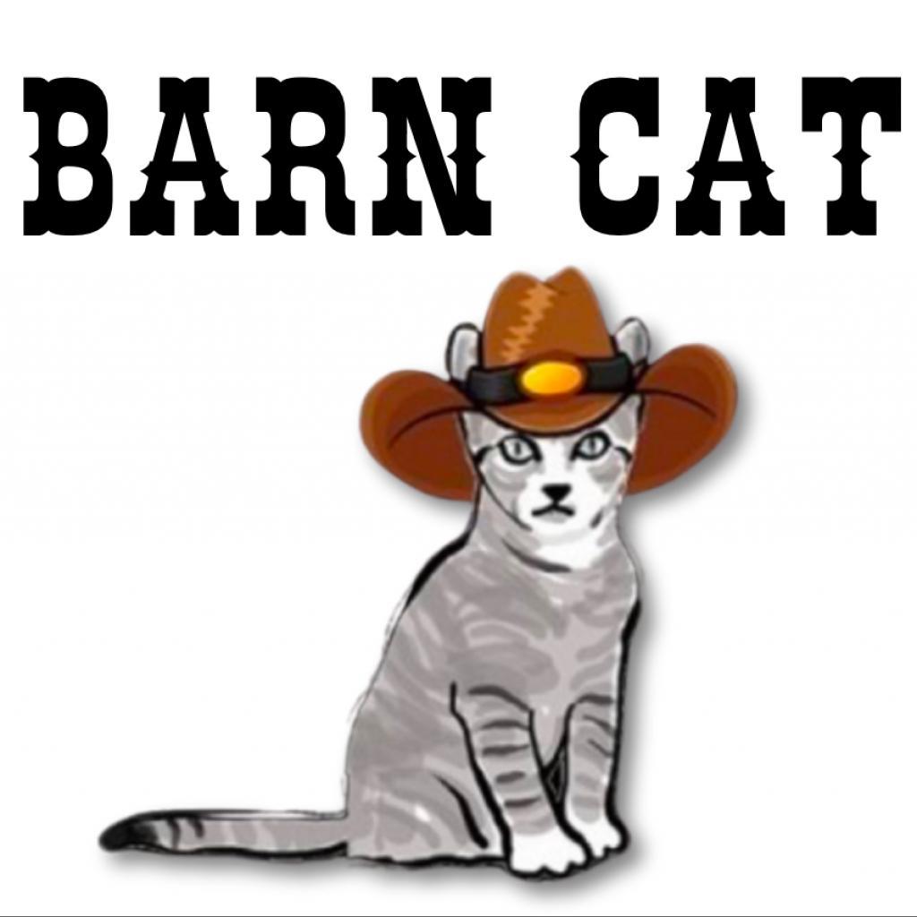 Albert — thumbnail 3