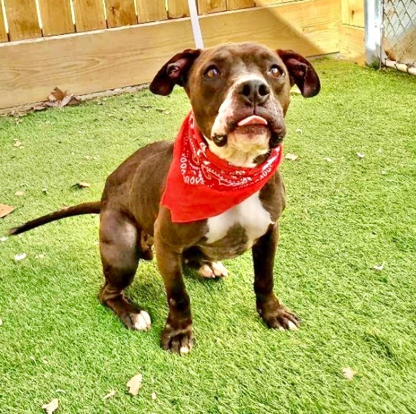 Luna Lina — thumbnail 6