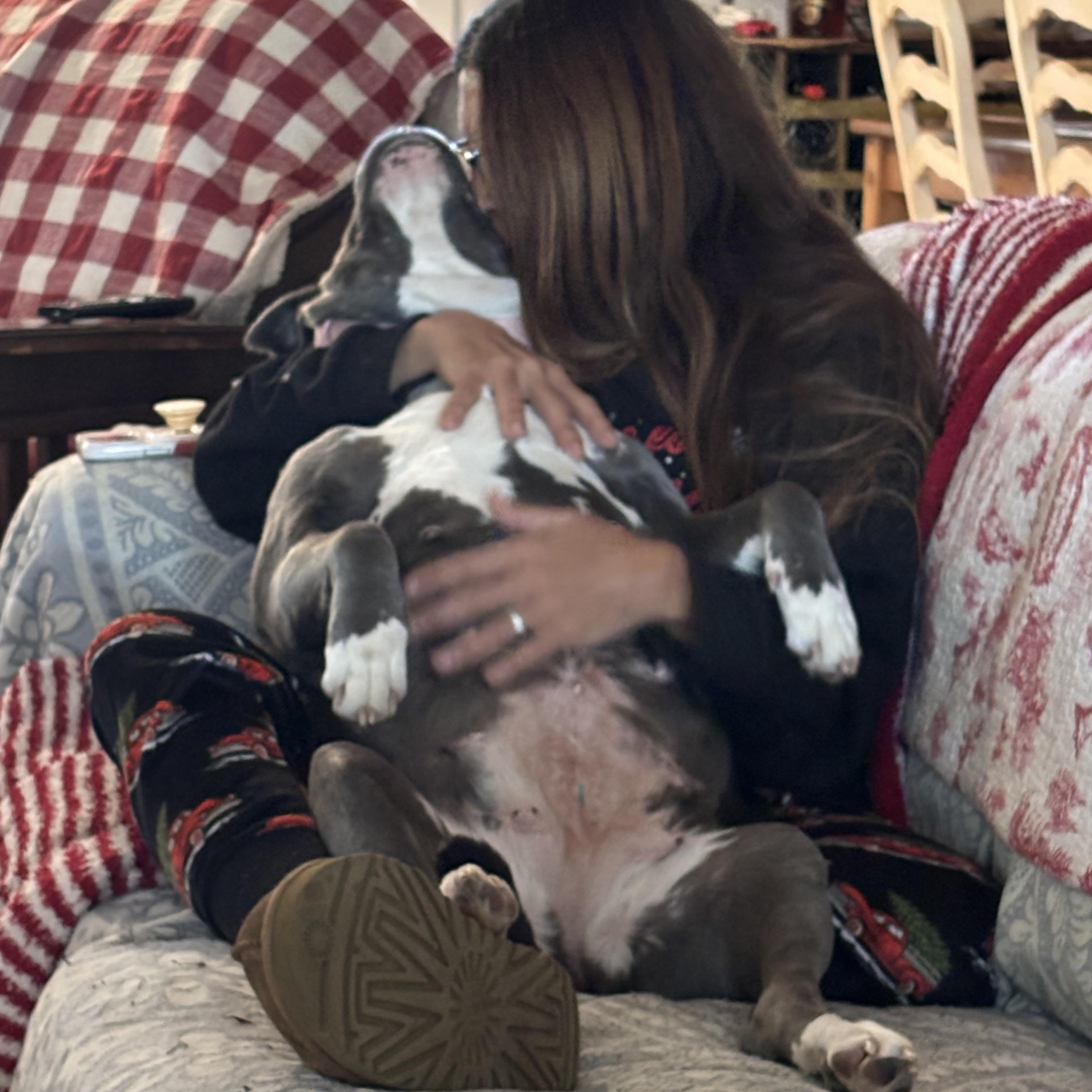 Enlarge SARA…..8 yo who NEEDS A MAMA WHO LOVES HER!!!, a Adoptable mixed breed in Cantonment, FL image 2/6