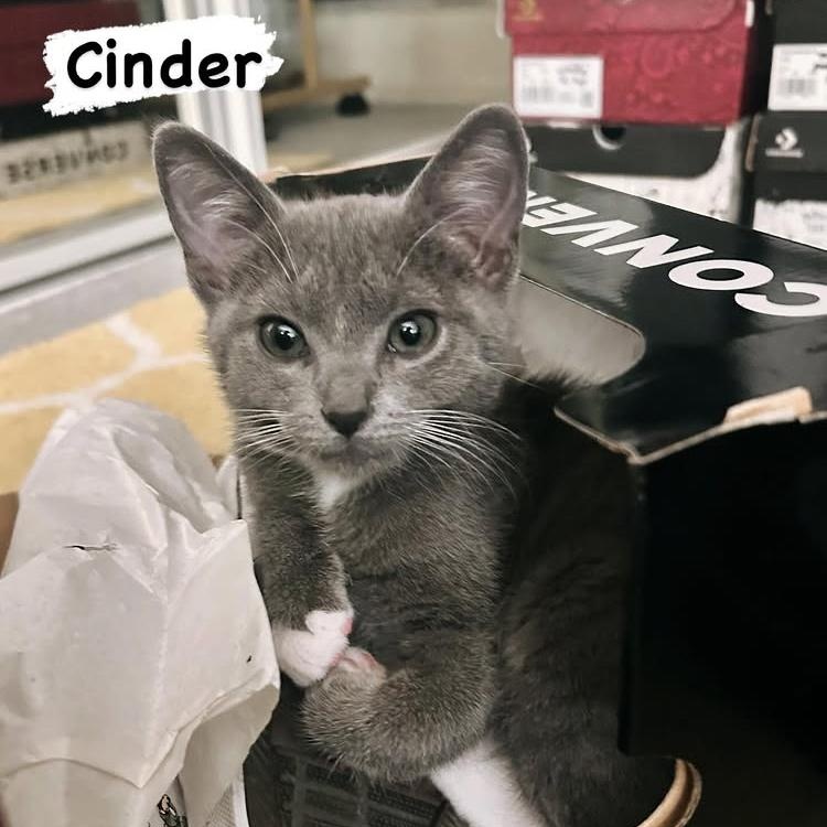 Cinder