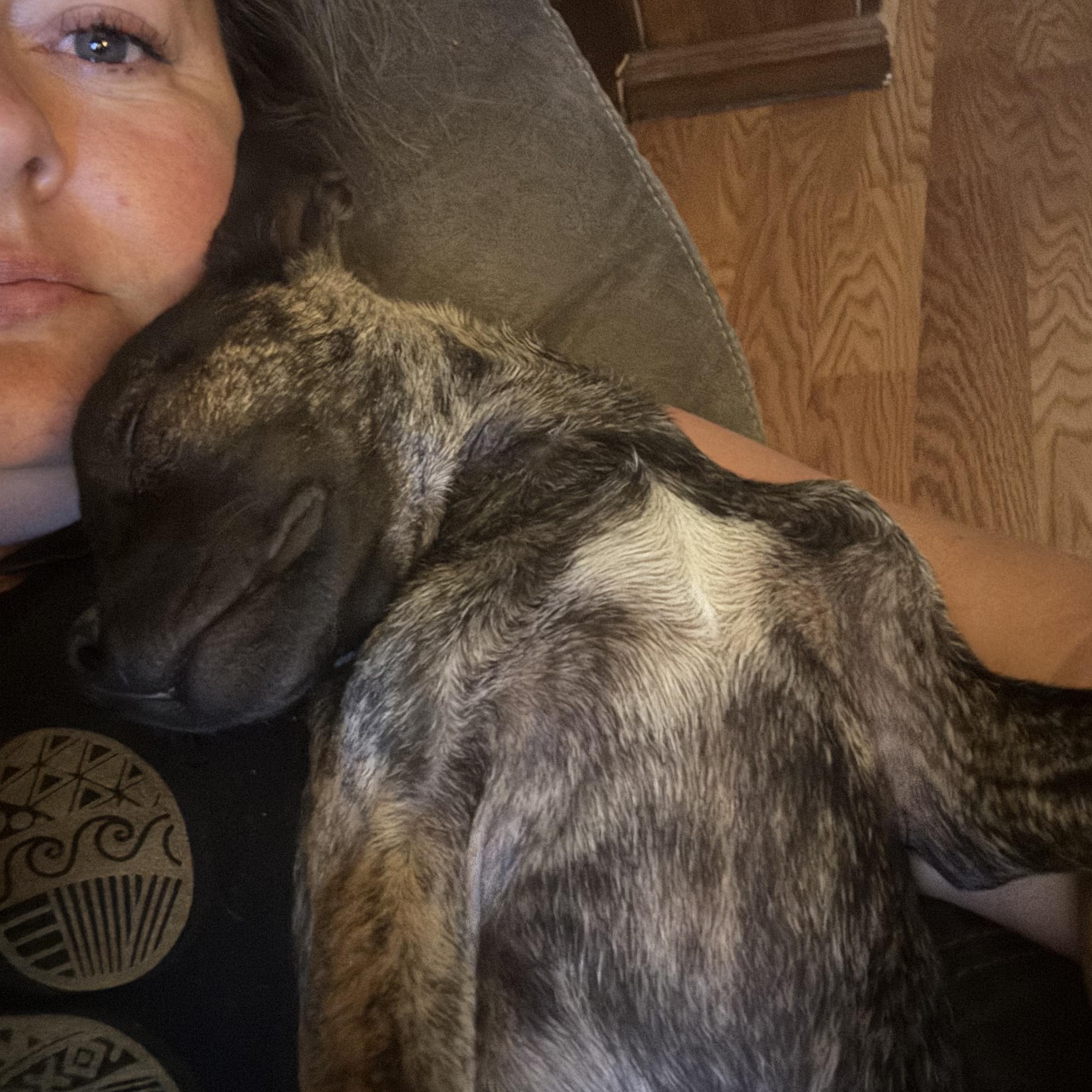 Enlarge Twig aka Phil, an adoptable mixed breed in Huachuca City, AZ image 2/6