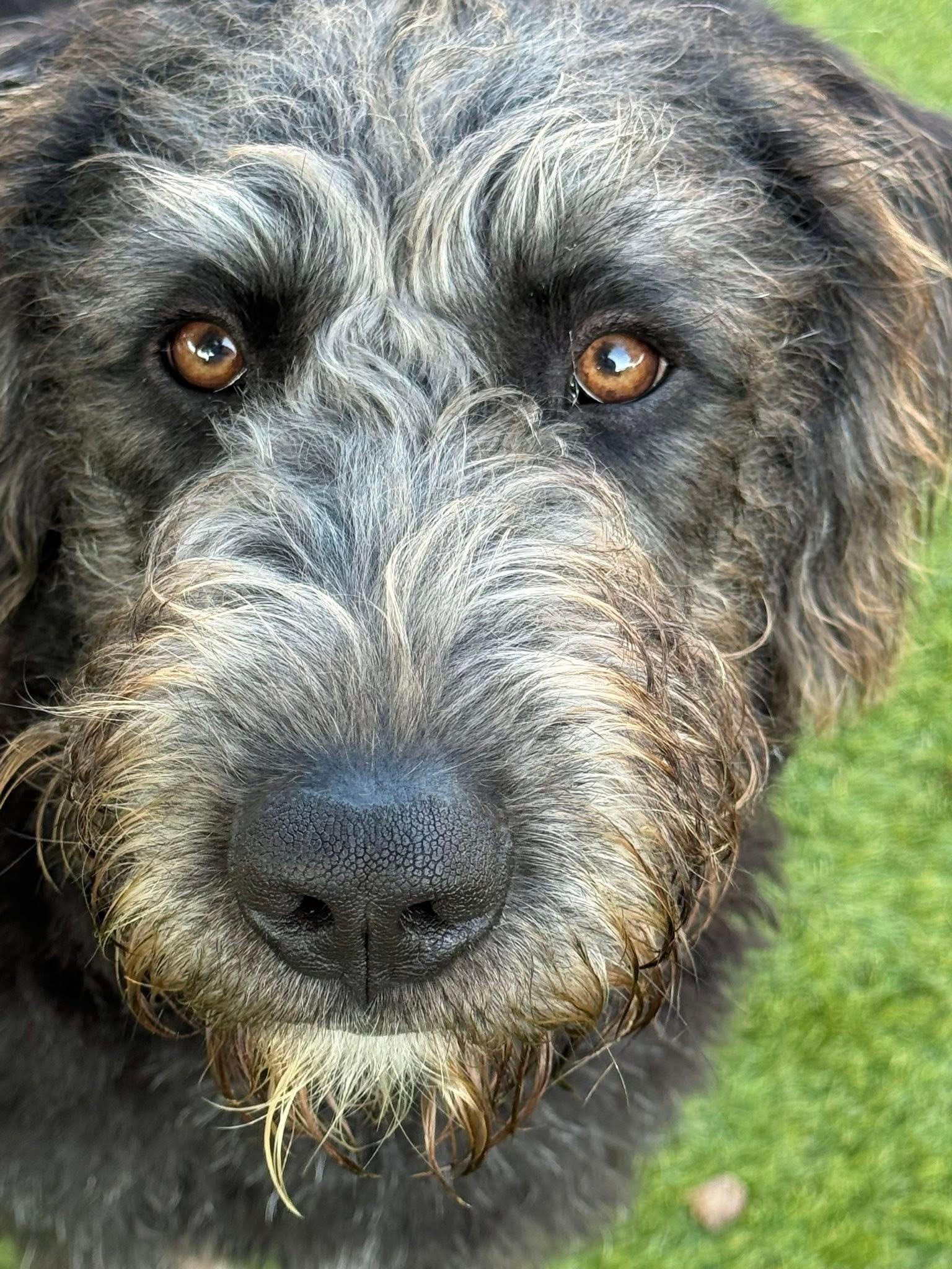 Winchester thumbnail 4