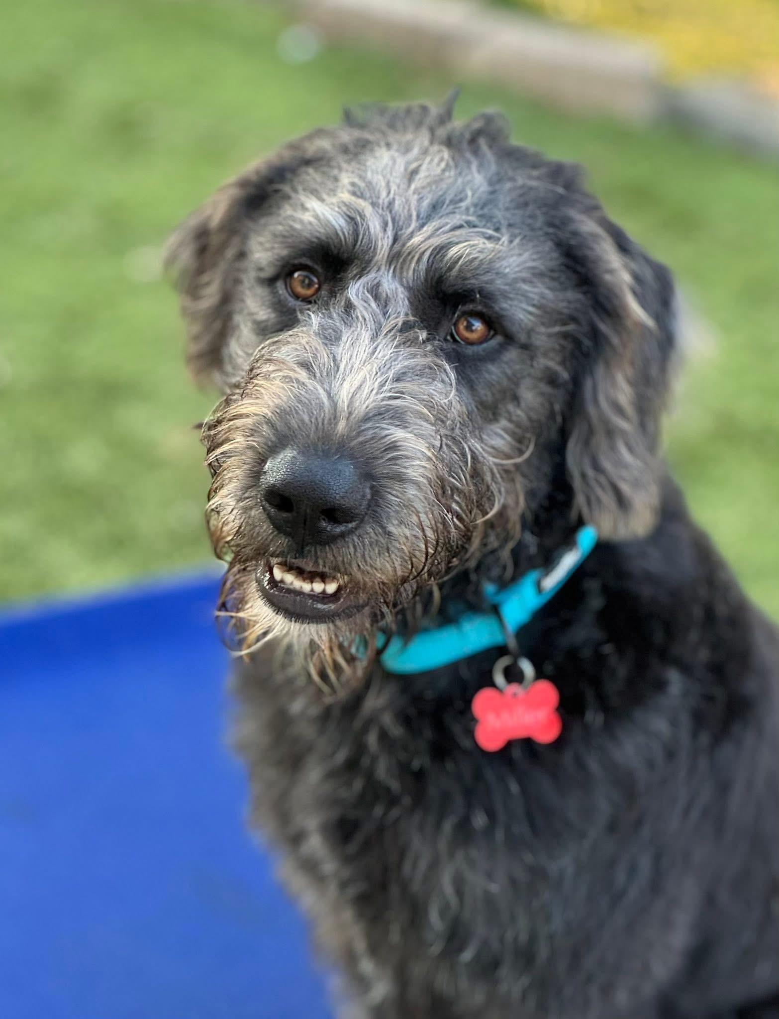 Winchester thumbnail 6