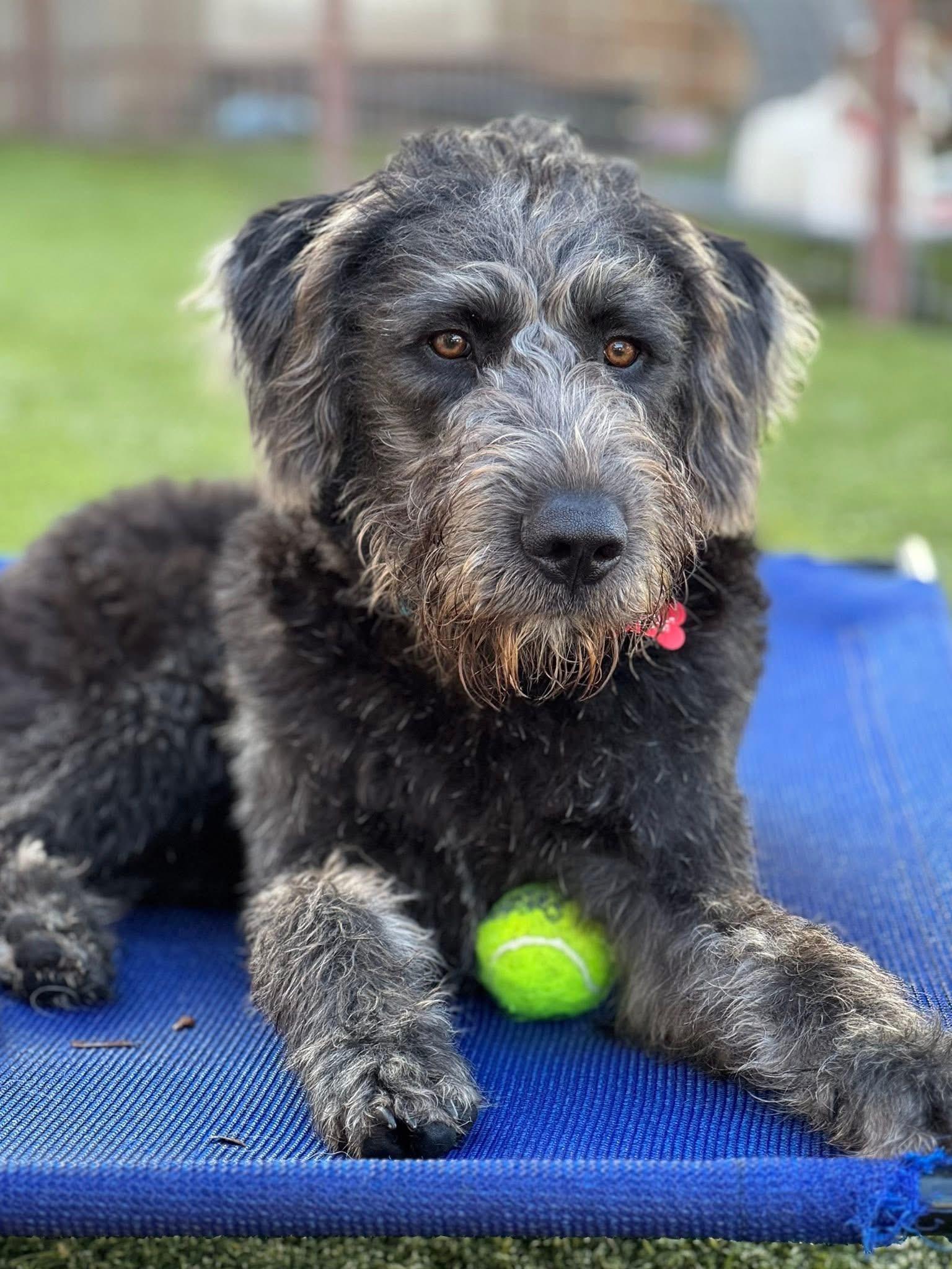 Winchester thumbnail 3