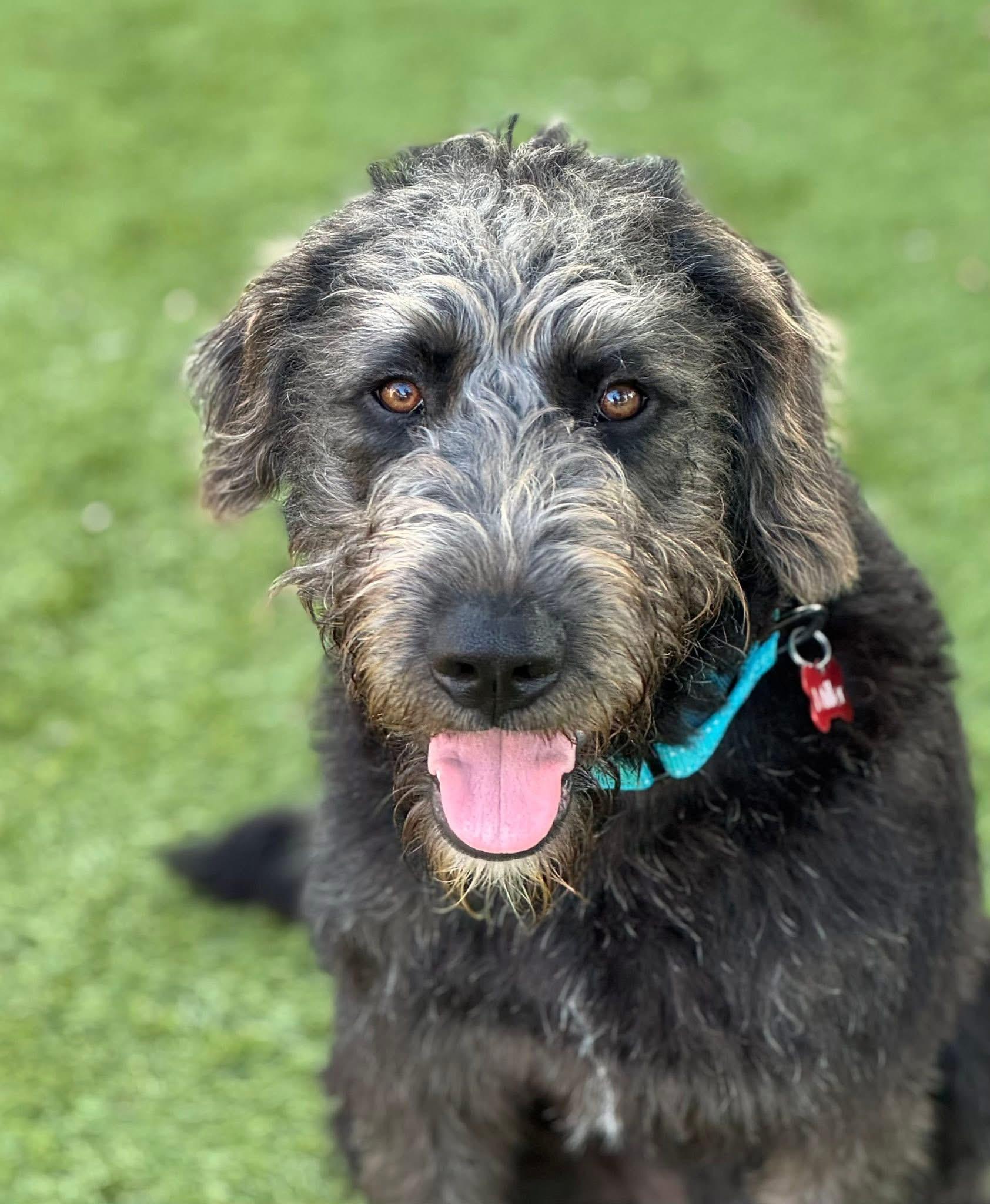 Winchester thumbnail 5