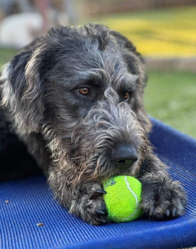 Winchester thumbnail 2