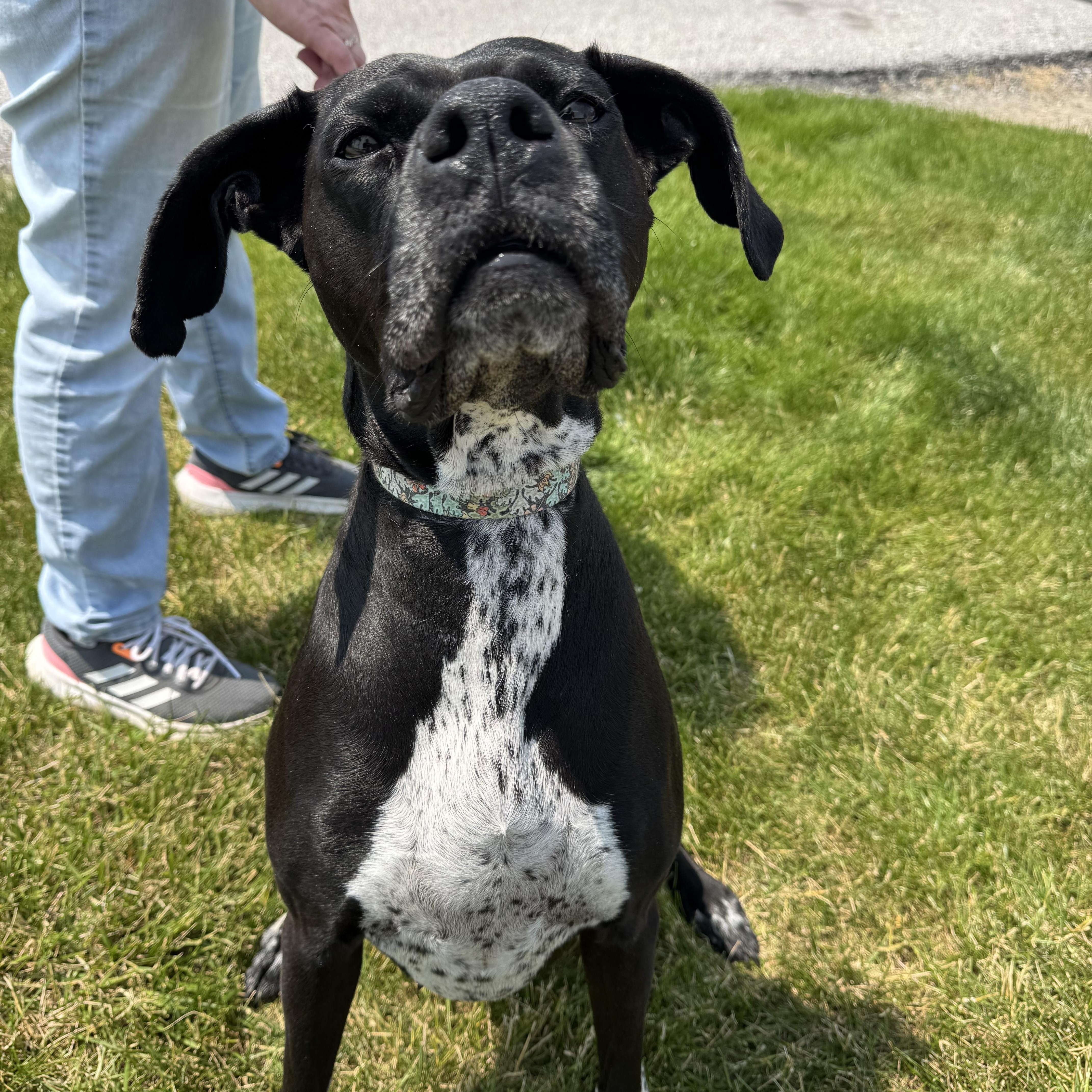 Rei! Vibrant Amazing Girl! thumbnail 2