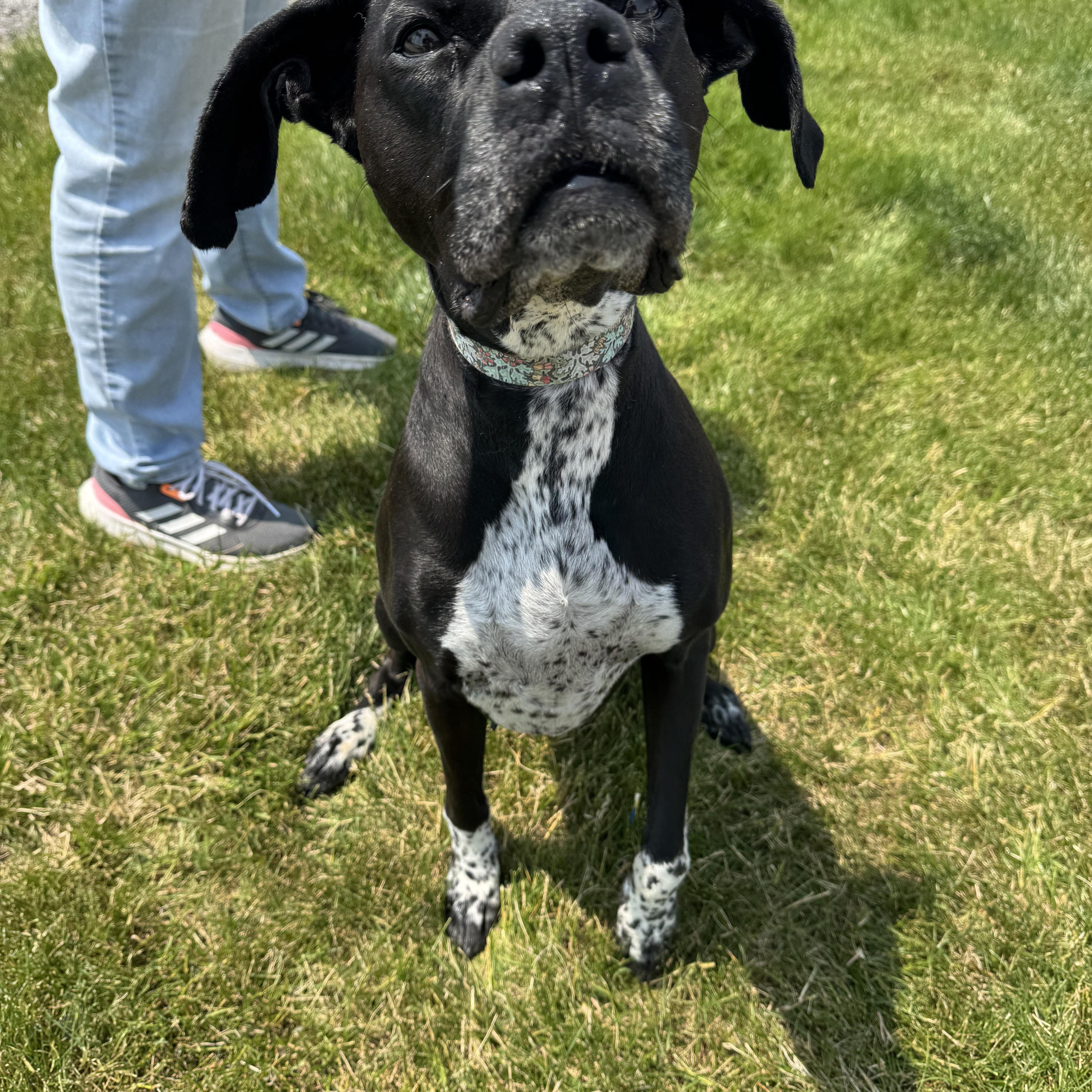 Rei! Vibrant Amazing Girl! thumbnail 3