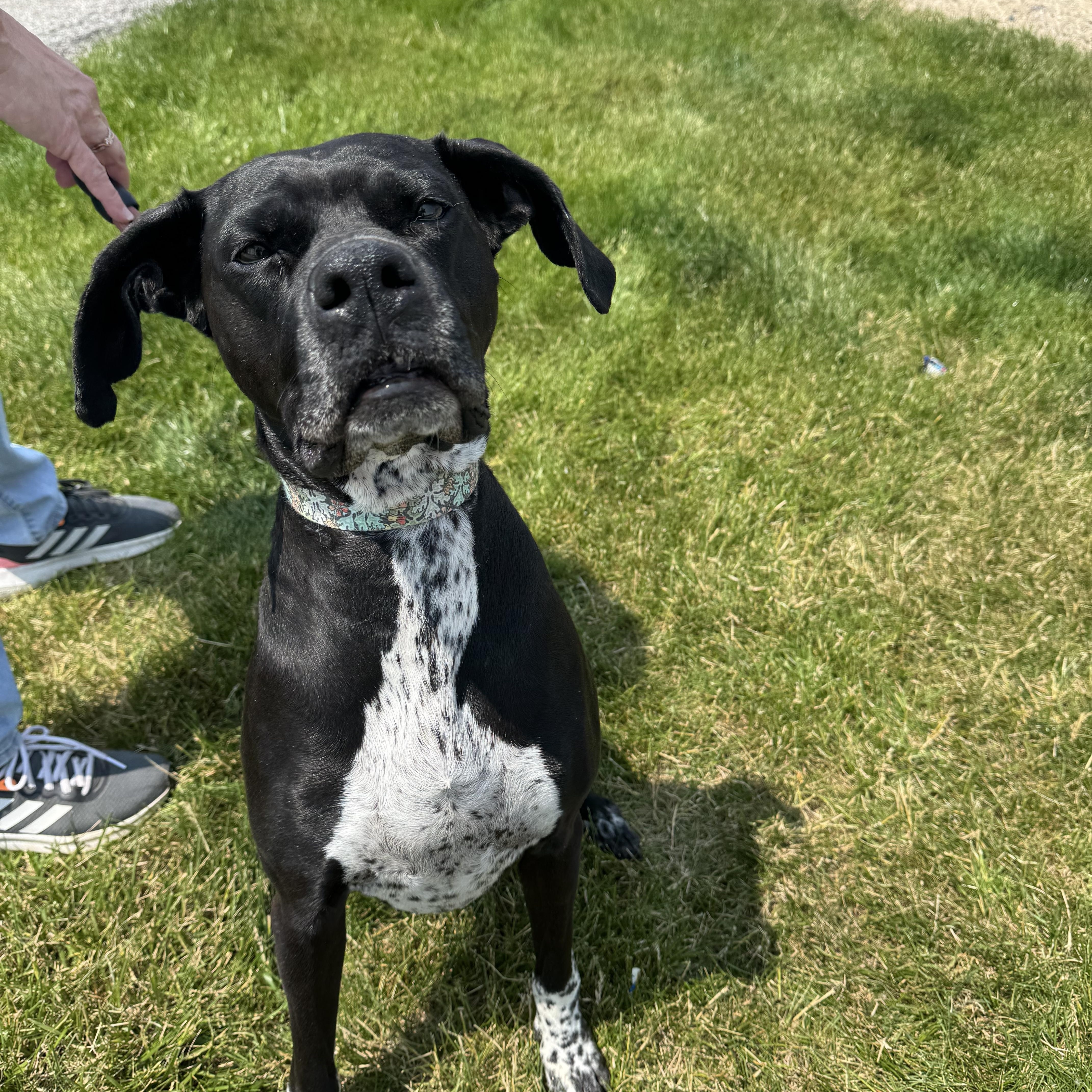 Rei! Vibrant Amazing Girl! thumbnail 4