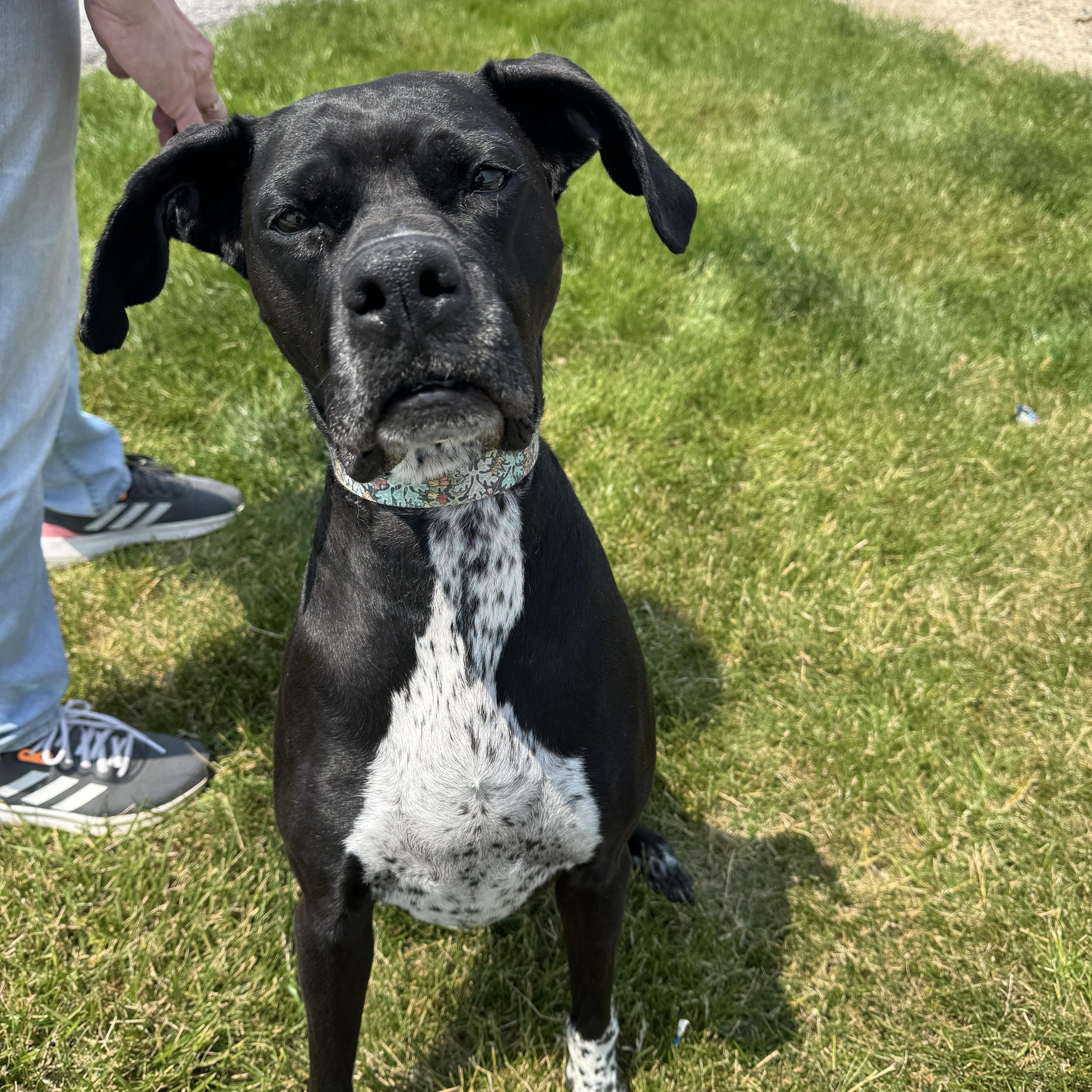 Rei! Vibrant Amazing Girl!