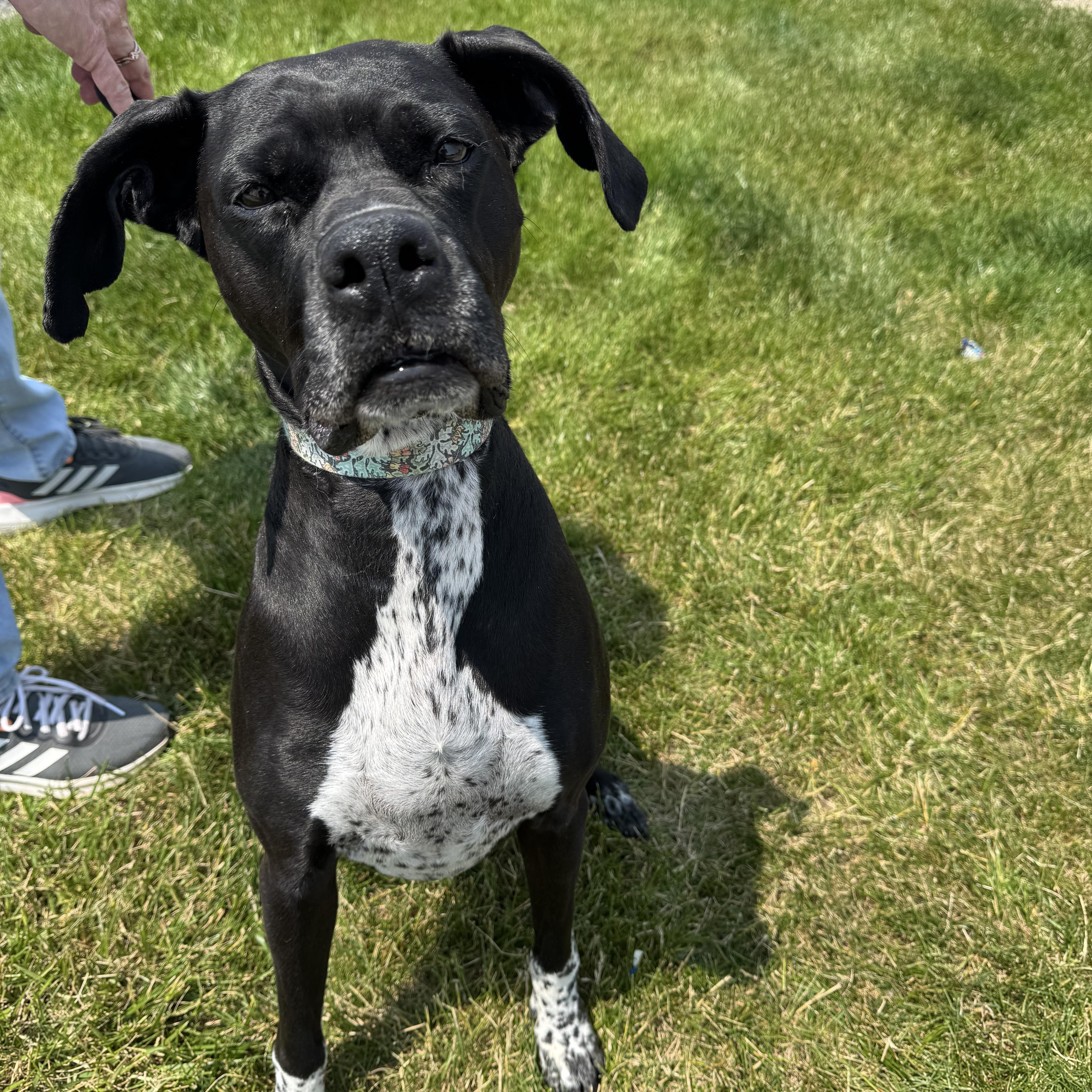 Rei! Vibrant Amazing Girl! thumbnail 6