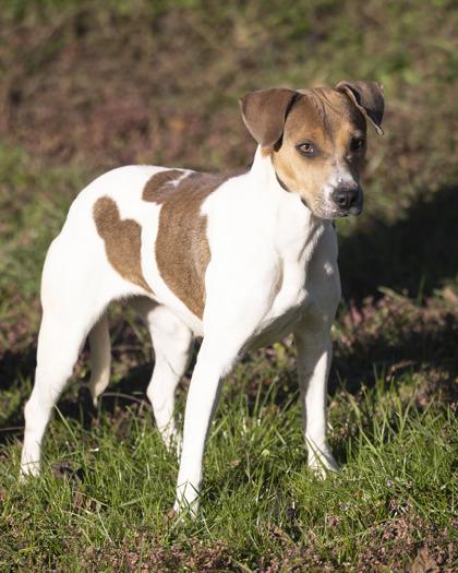 Dorothy — thumbnail 2