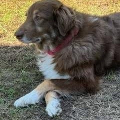 Molly photo 2