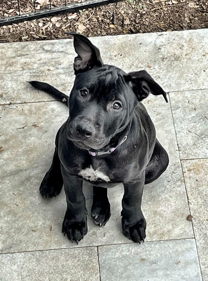 Luna May 2
