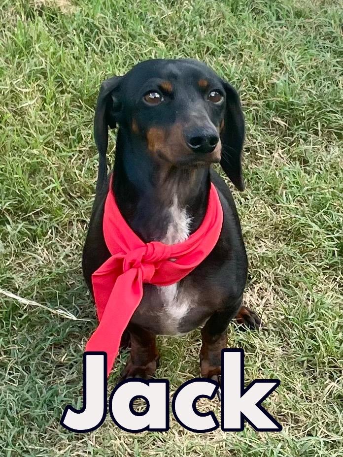 Jack In Texarkana Tx