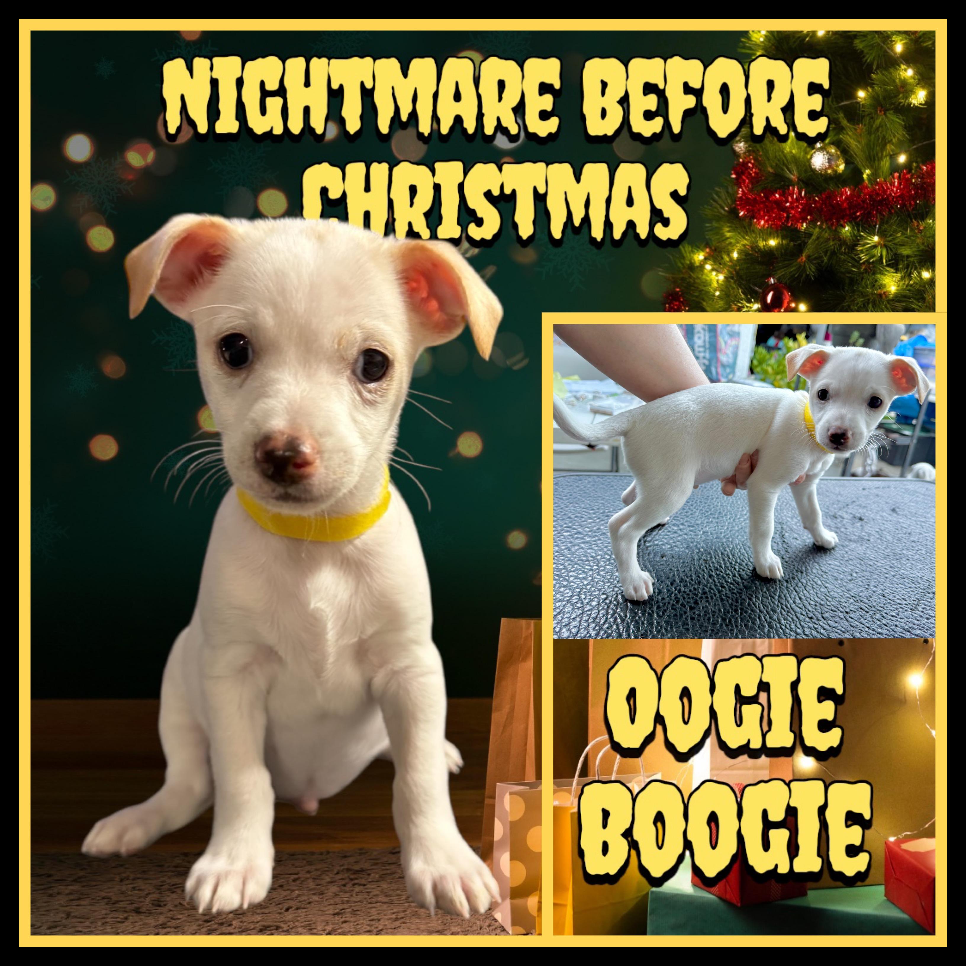 Nightmare Before Xmas Pups