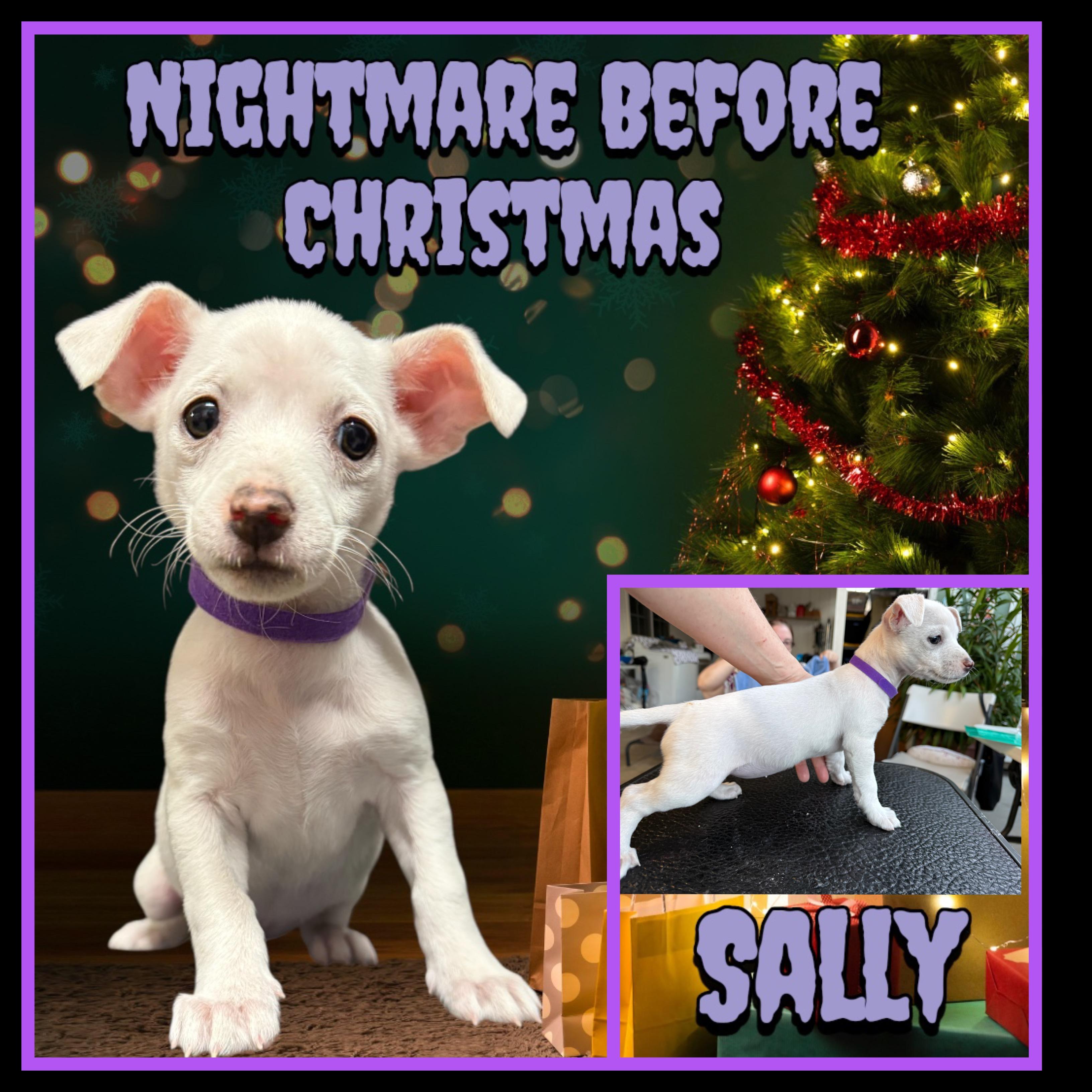 Nightmare Before Xmas Pups