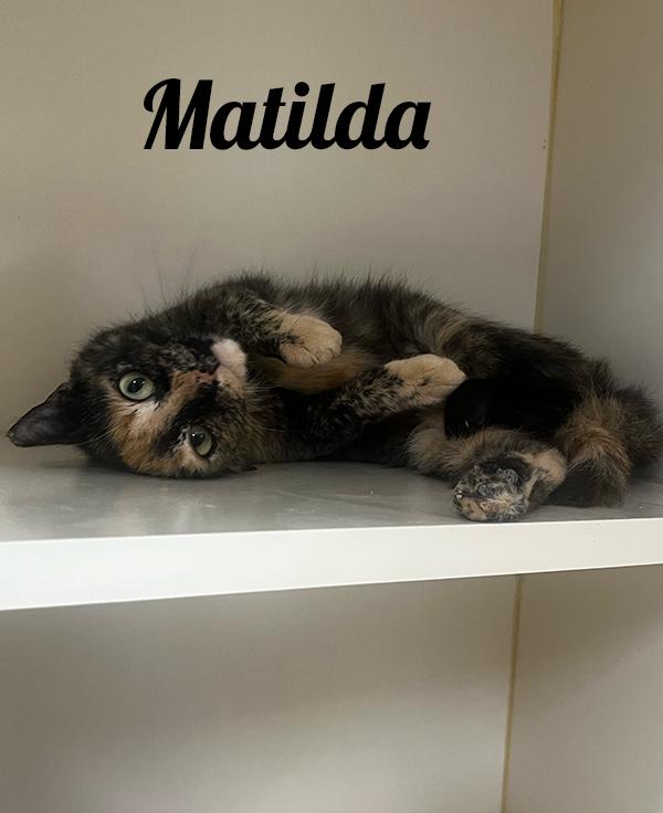 Matilda
