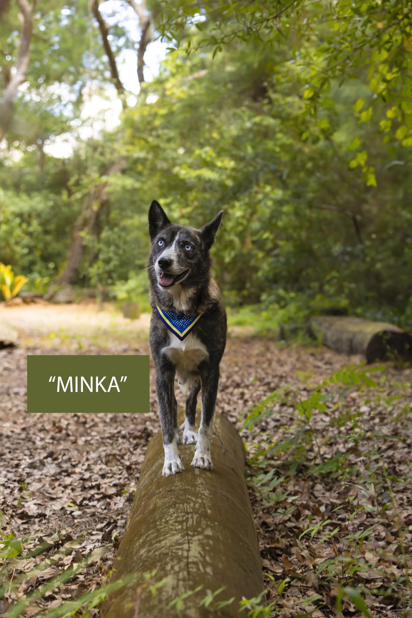 Minka