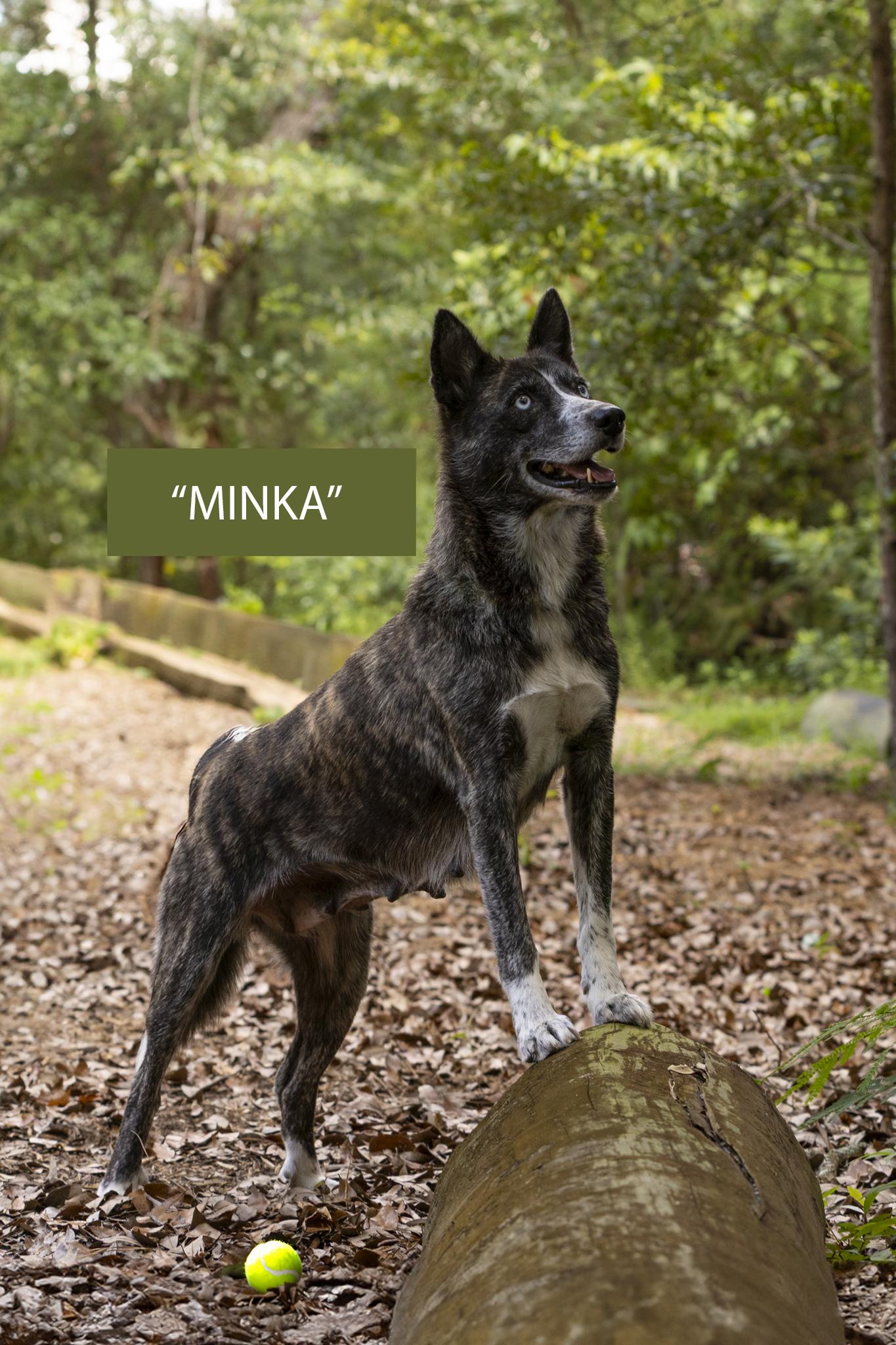 Minka
