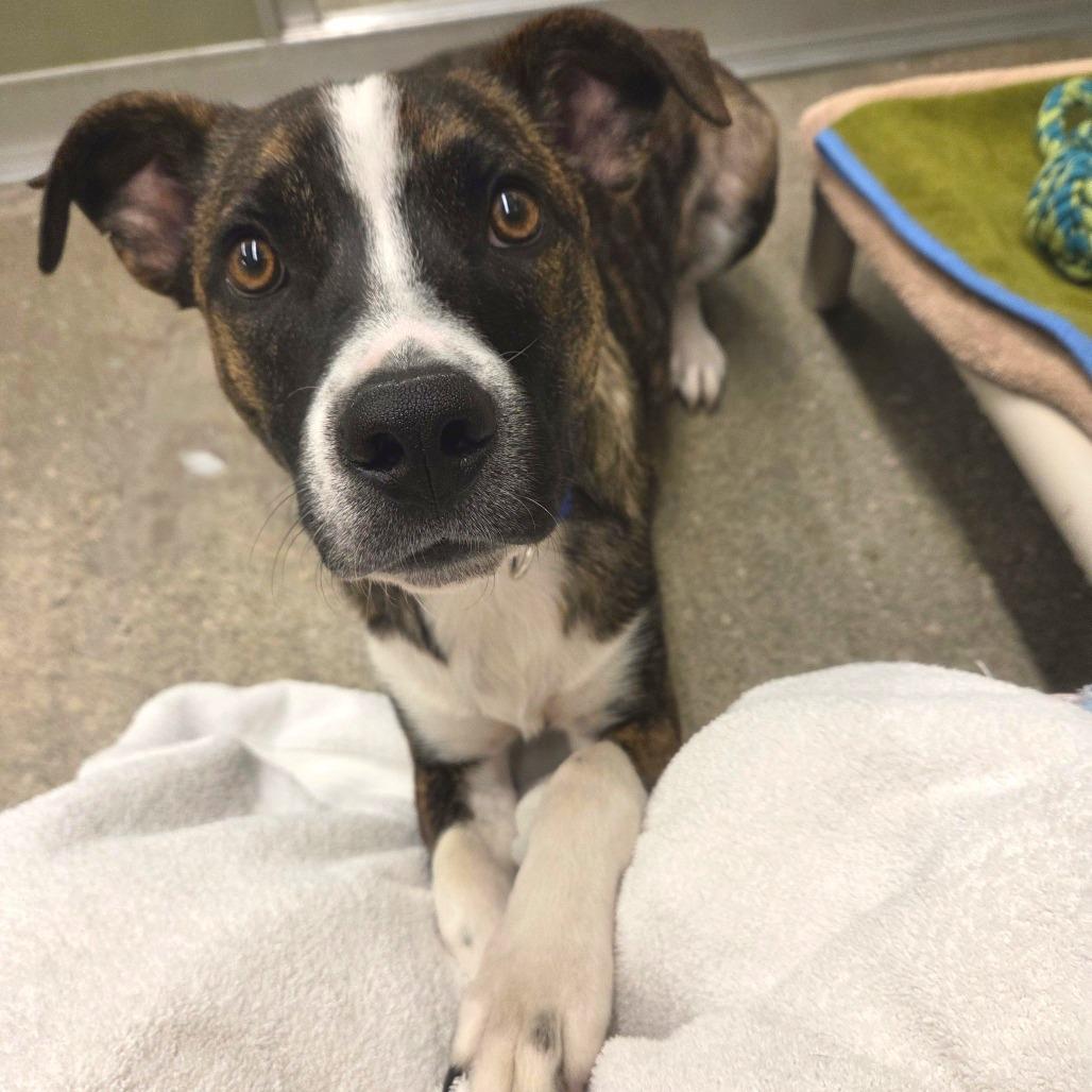 Reginald — thumbnail 2