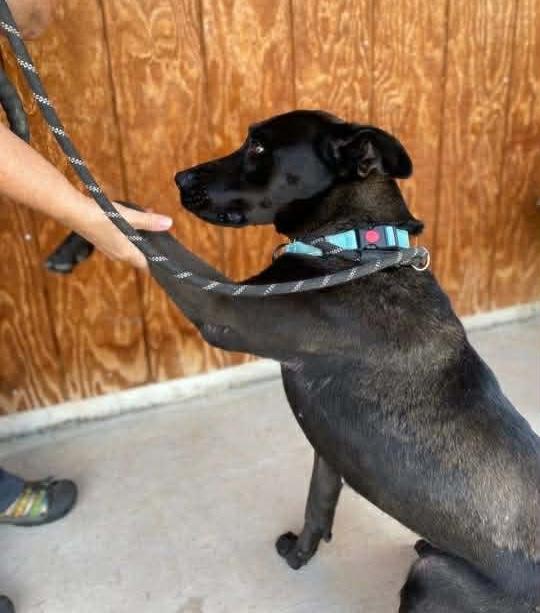 Adelina — thumbnail 3