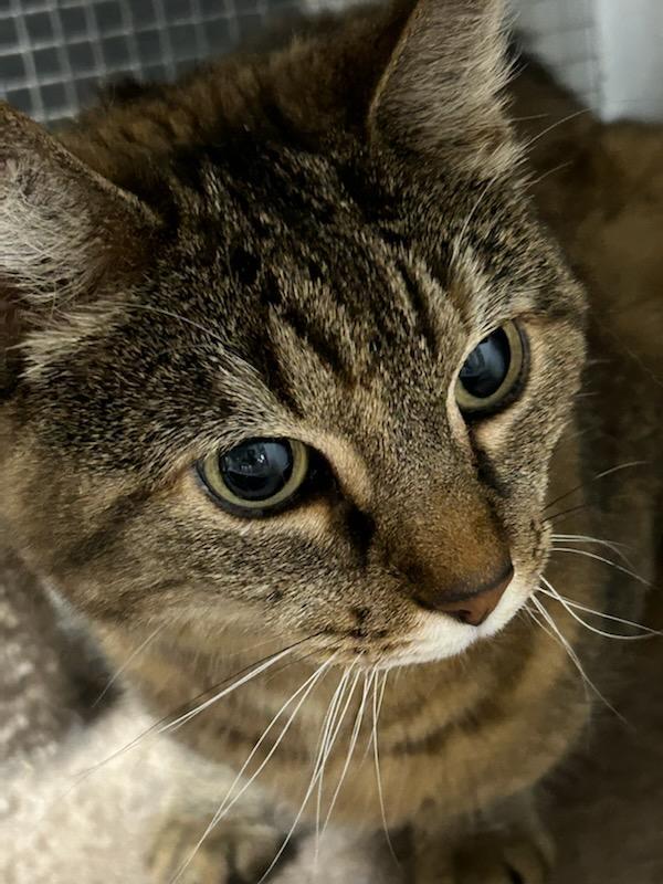 Laverne