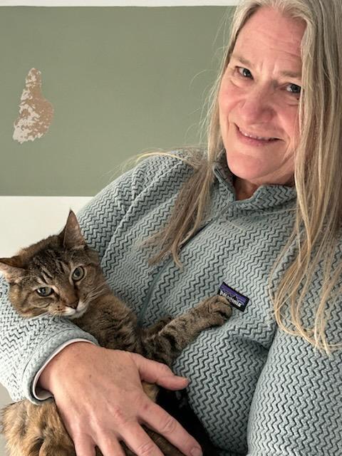 Enlarge Laverne, a Adoptable Domestic Short Hair in Queenstown, MD image 1/6