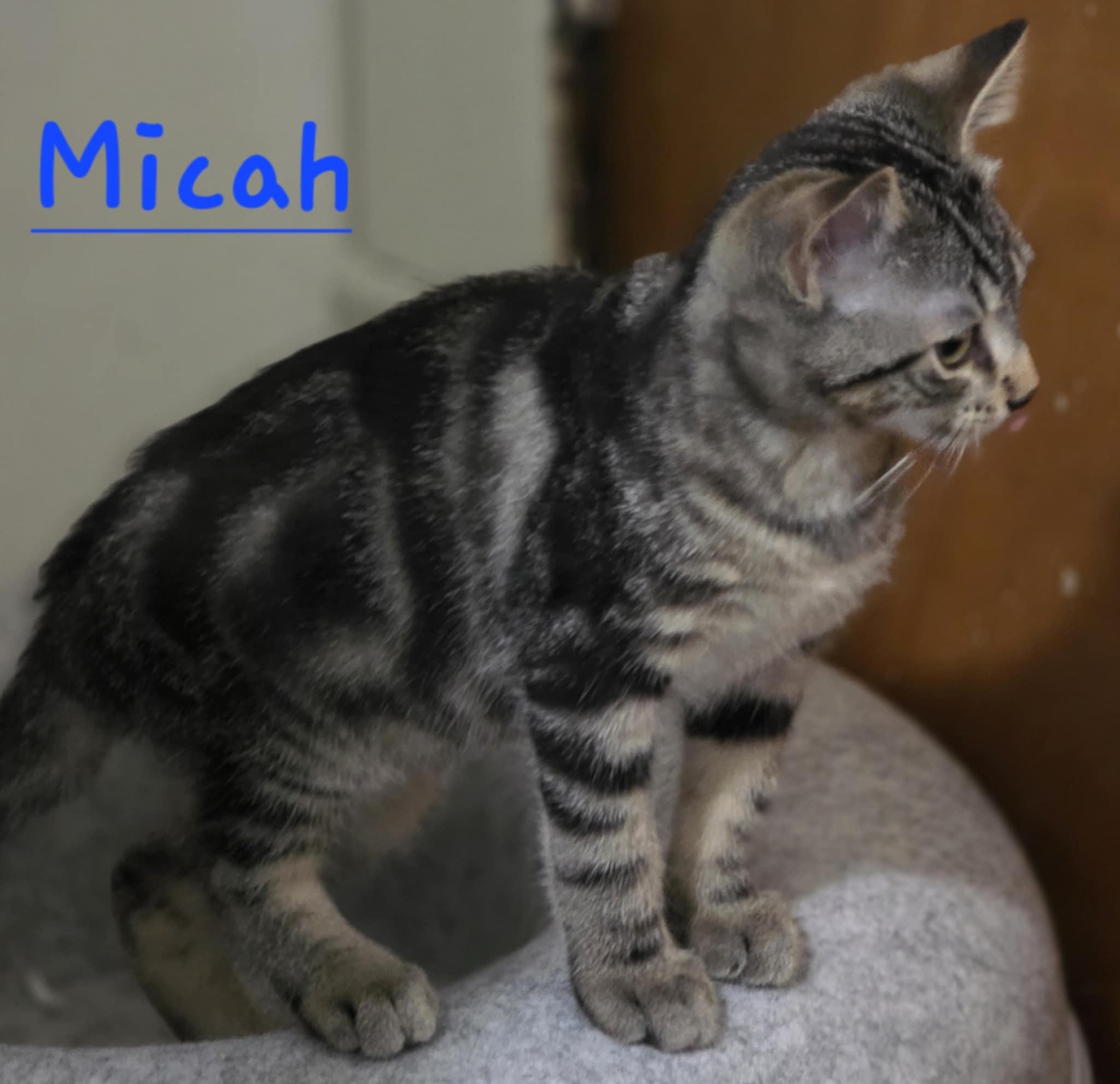 Micah photo 1