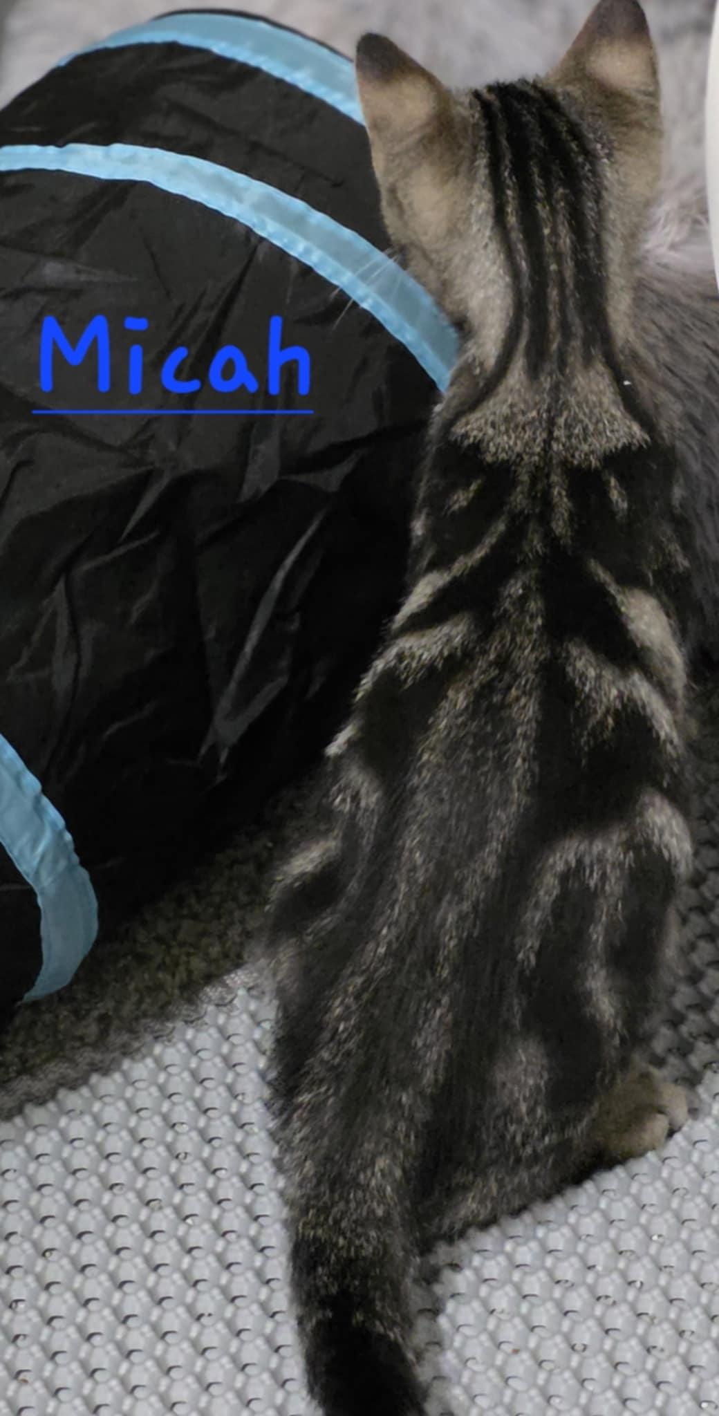 Micah thumbnail 2