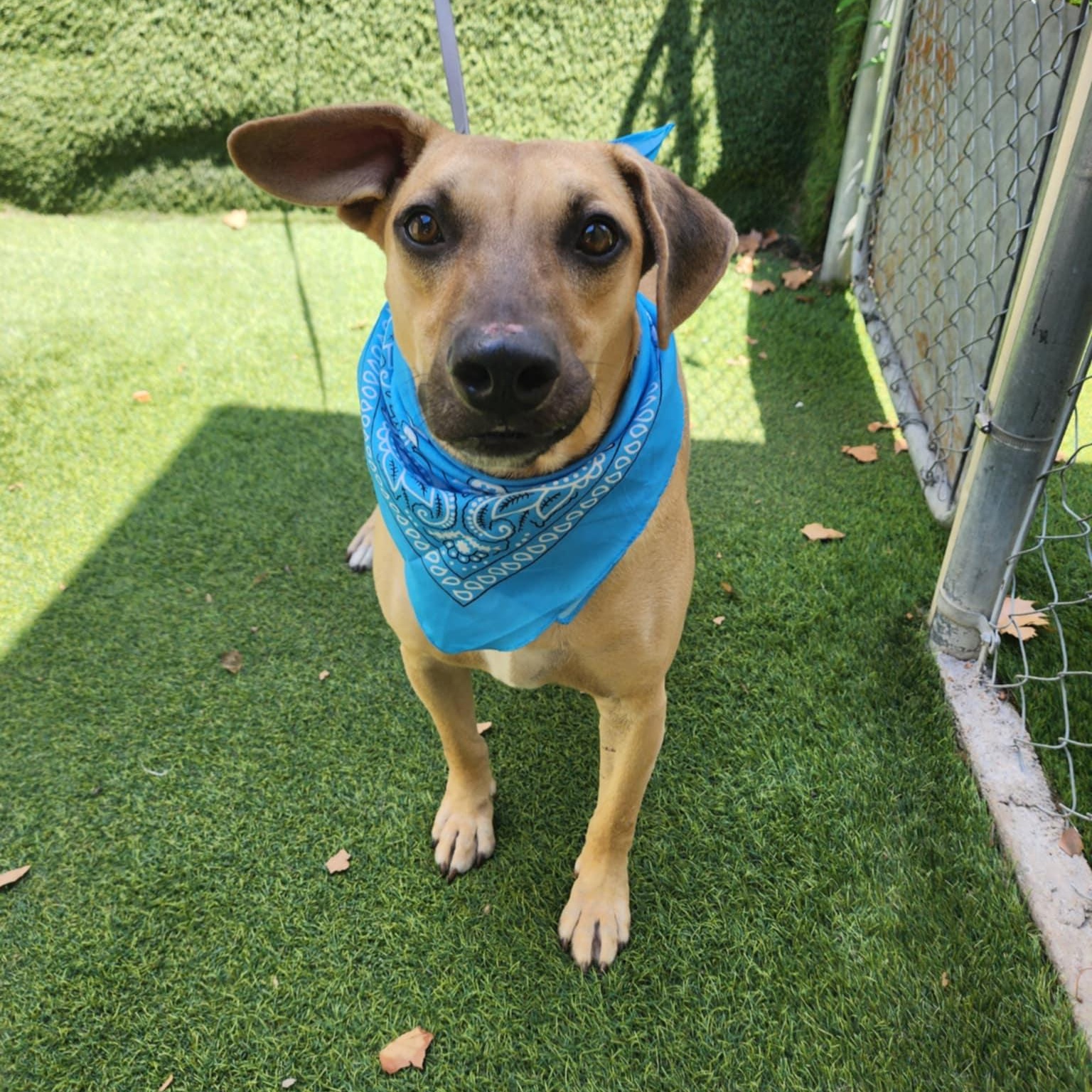 Jack — thumbnail 5