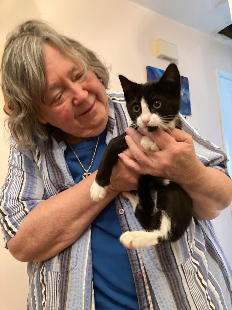 Little Boots, a Adoptable mixed breed in Pittstown, NJ image 3/5