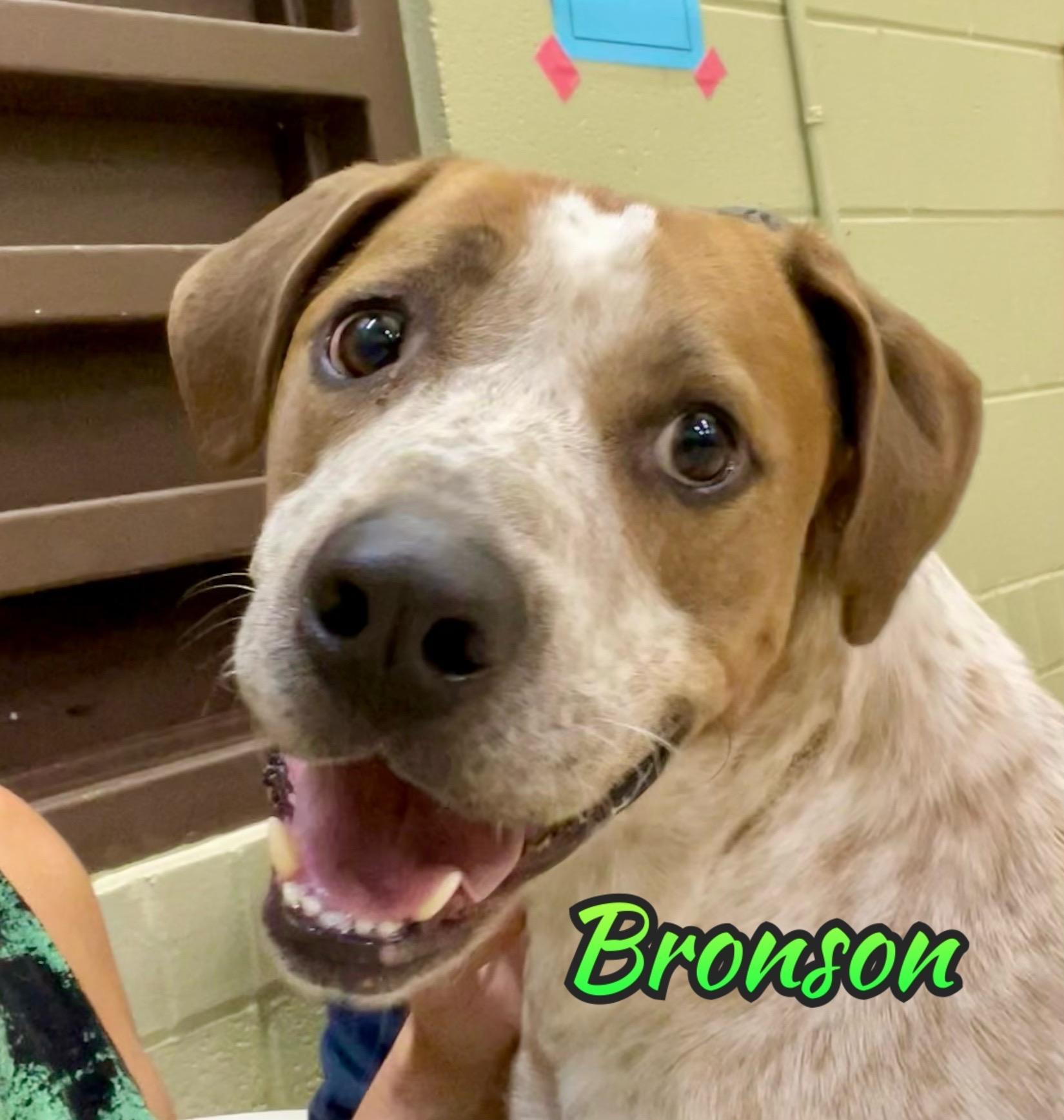 Bronson